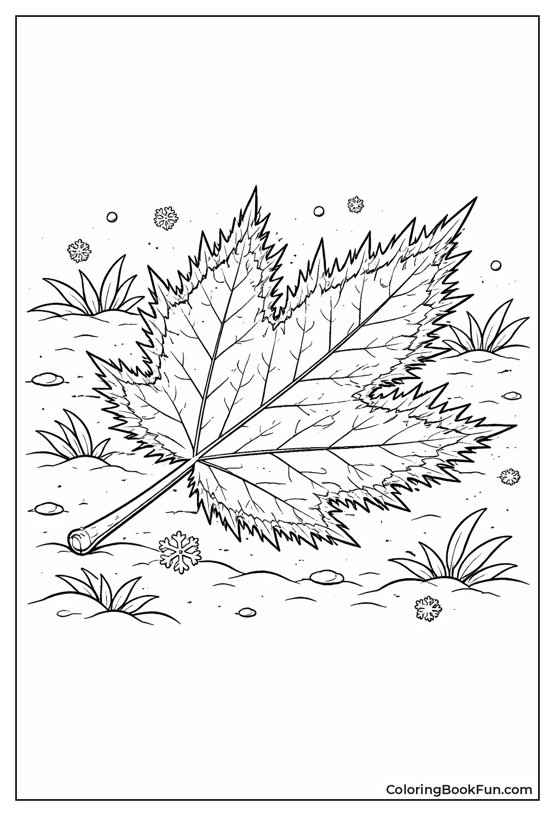 Frosty Winter Leaf Ground