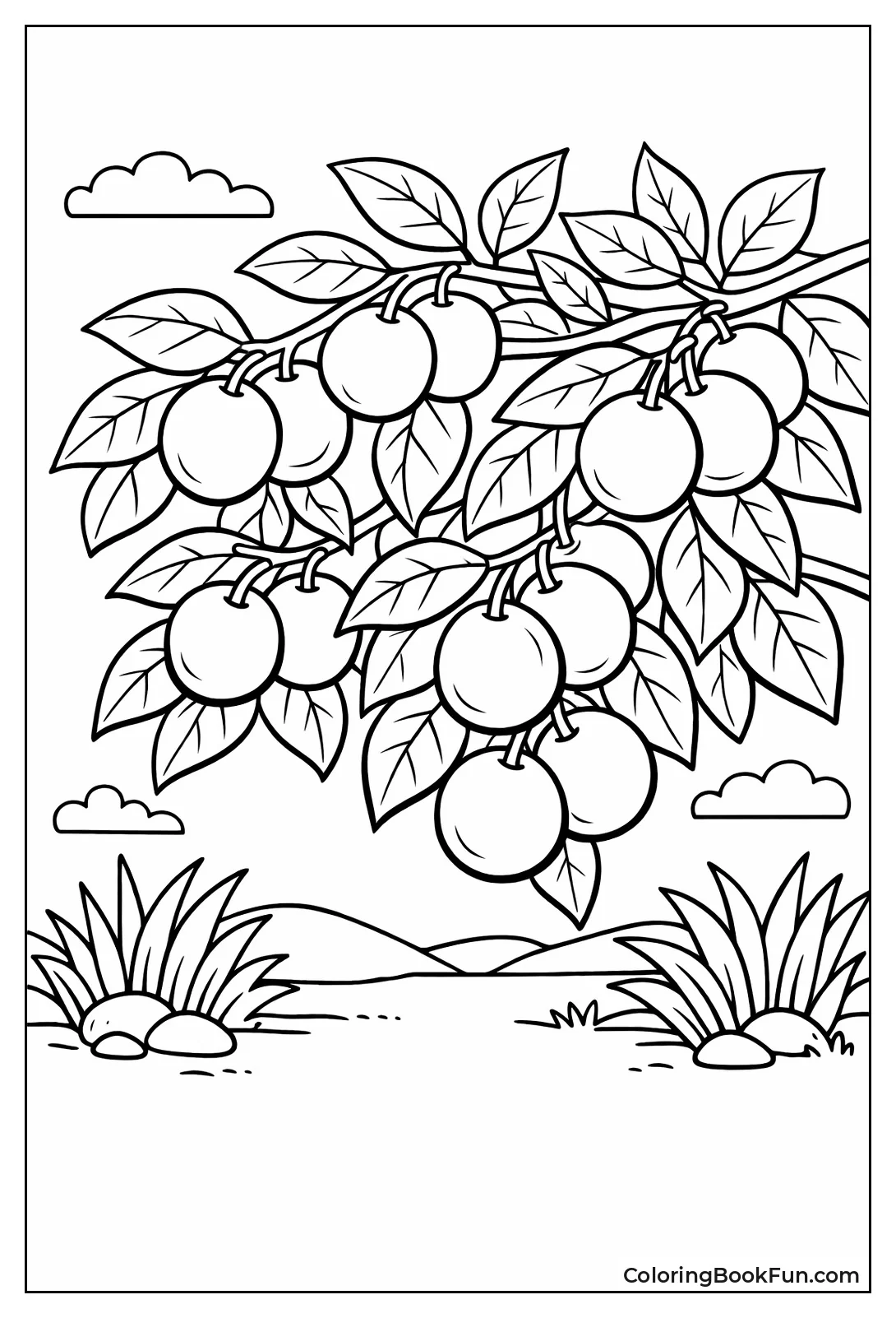 Branches Heavy with Ripe Fruits