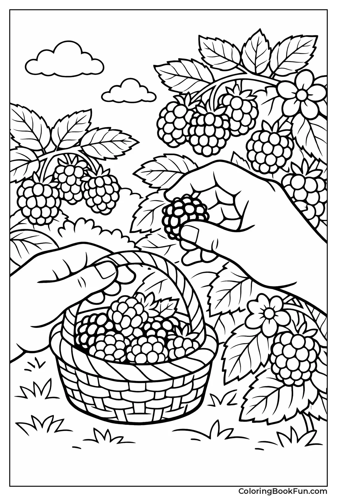 Berry Picking Basket