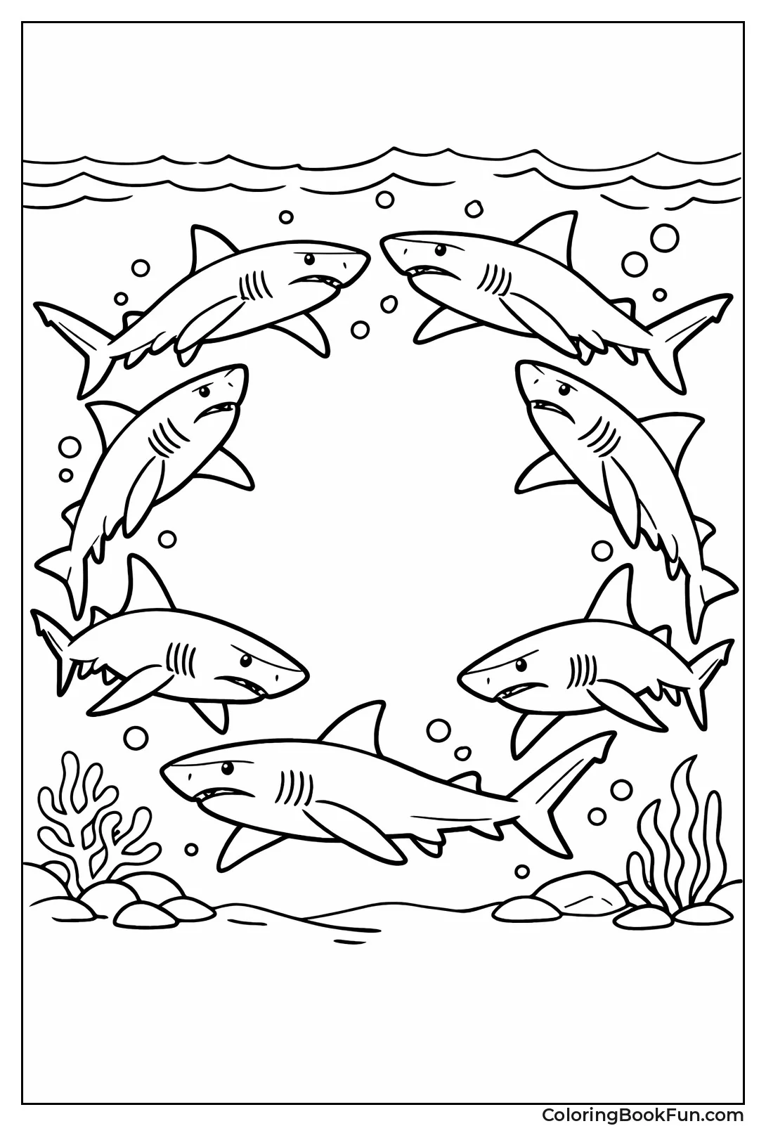 Galapagos Sharks in Circle