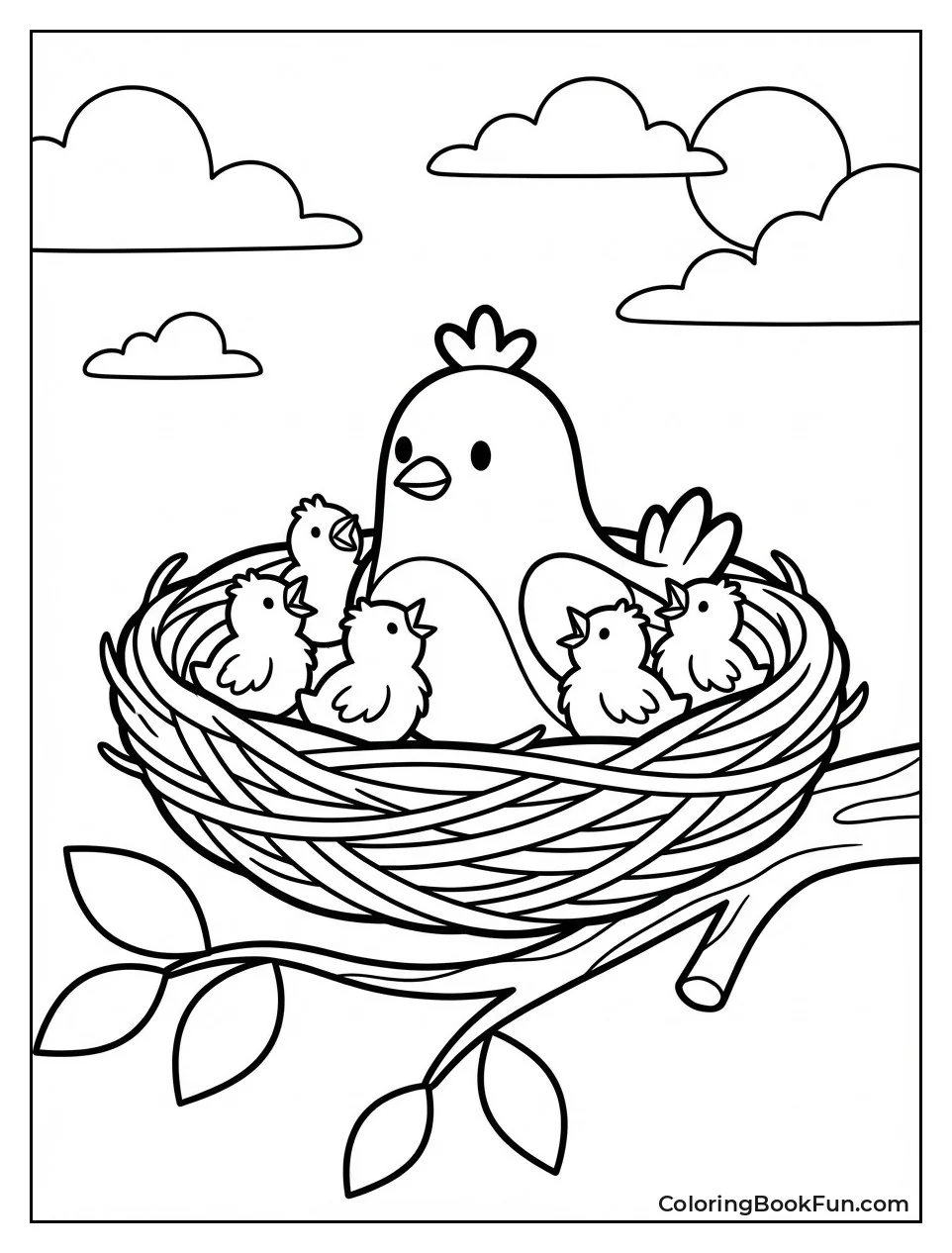 Opila Bird Nests Chicks