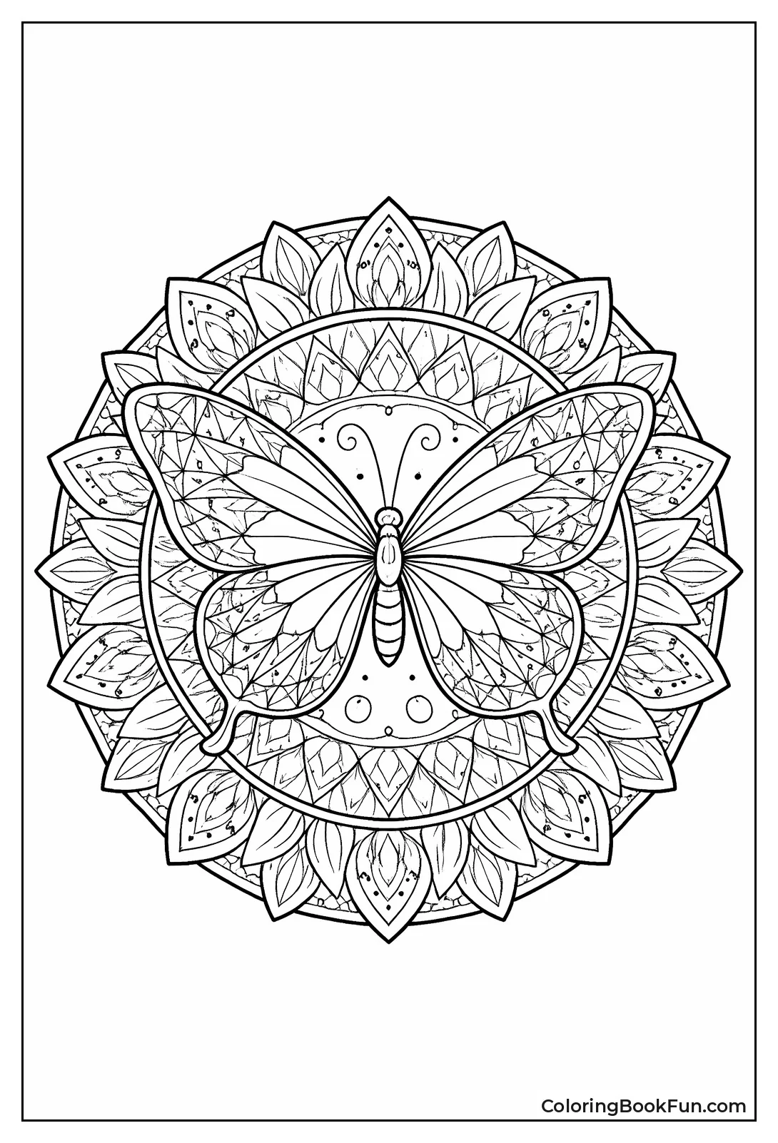 Butterfly Wings Form Radial Mandala