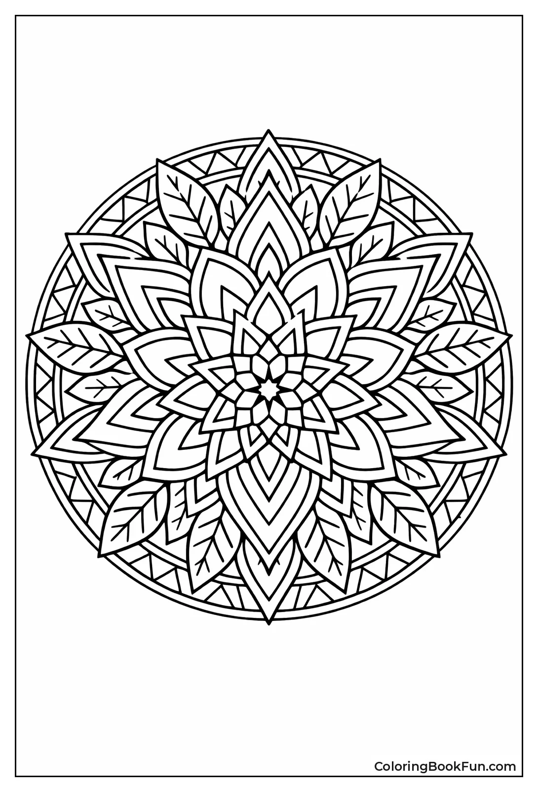 Floral Mandala Blooms in Angles