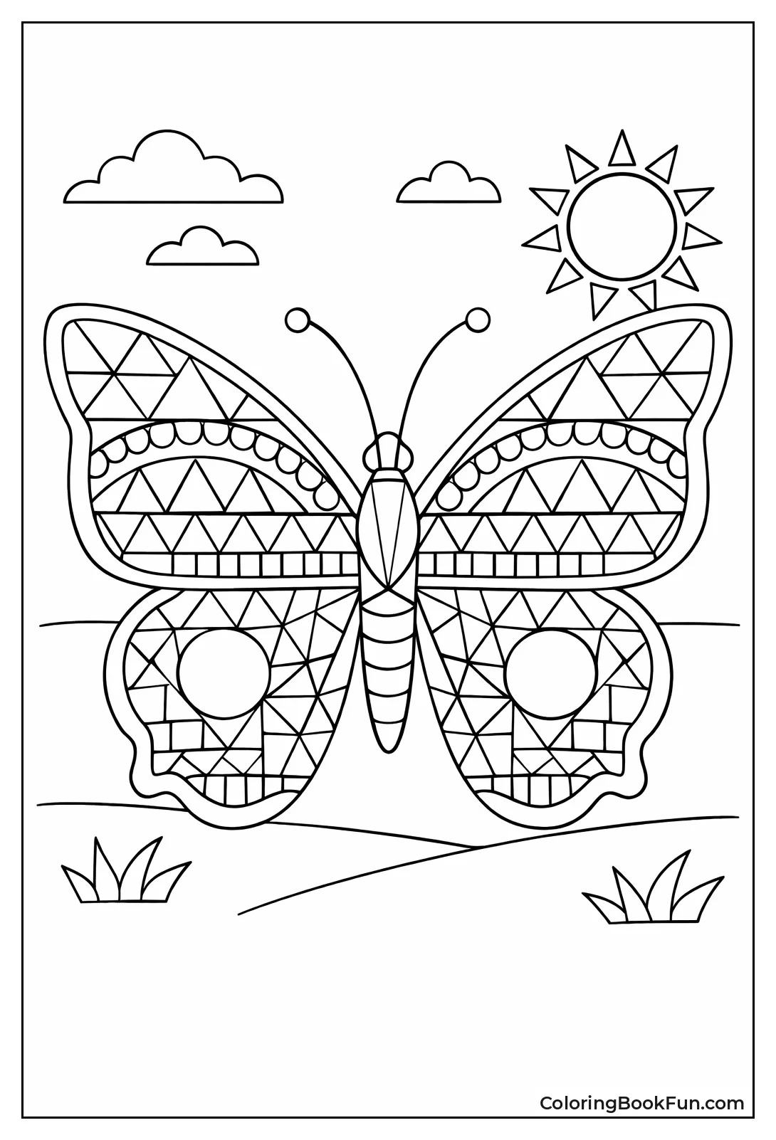 Butterfly Shows Mirror Wing Patterns
