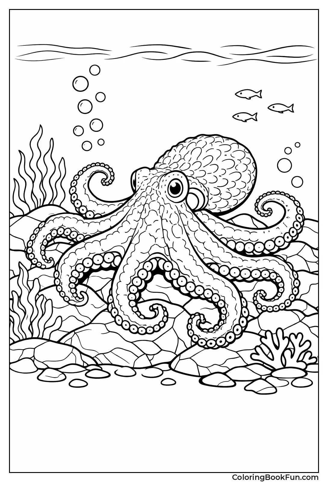 Giant Pacific Octopus