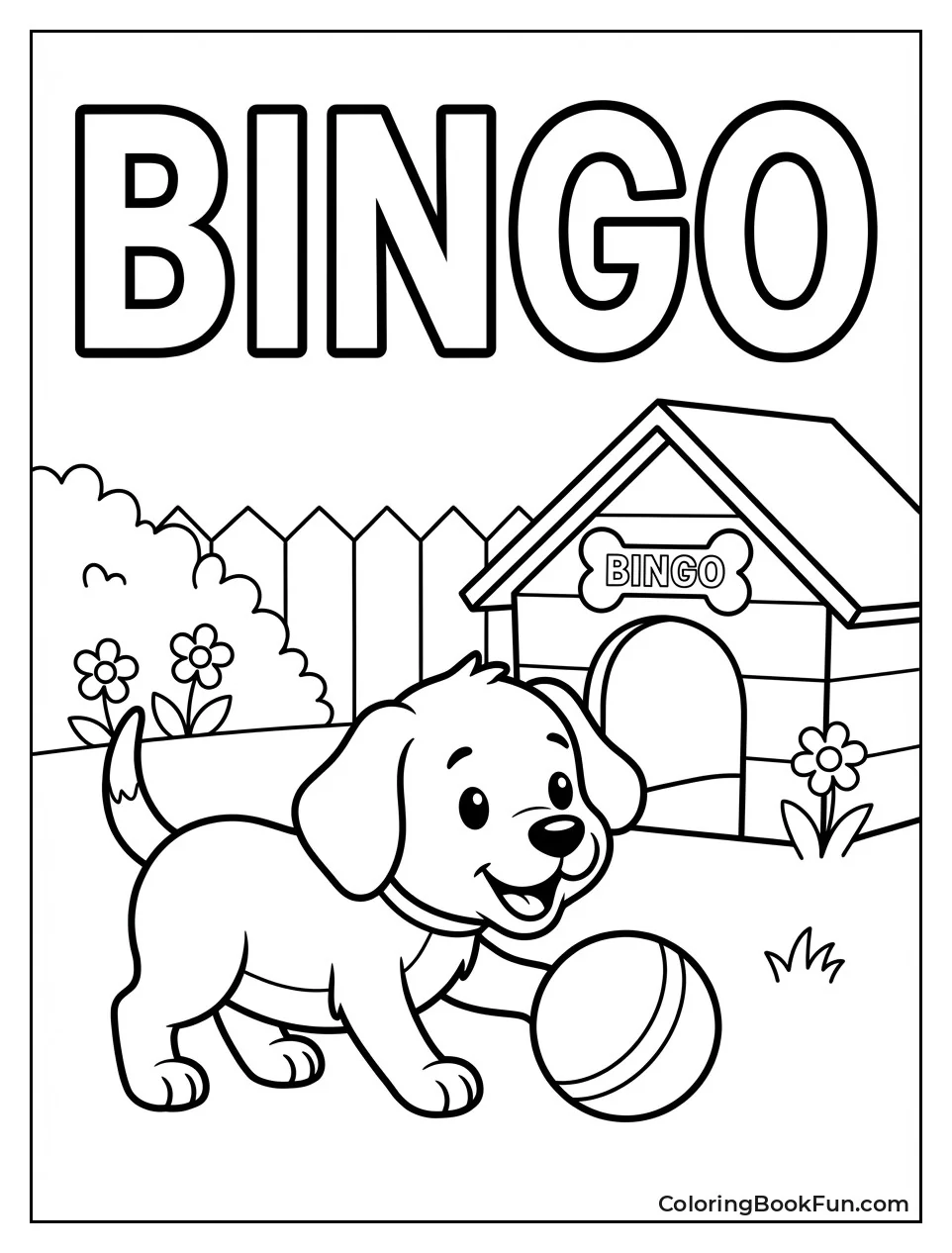 Bingo Dog Plays with Ball