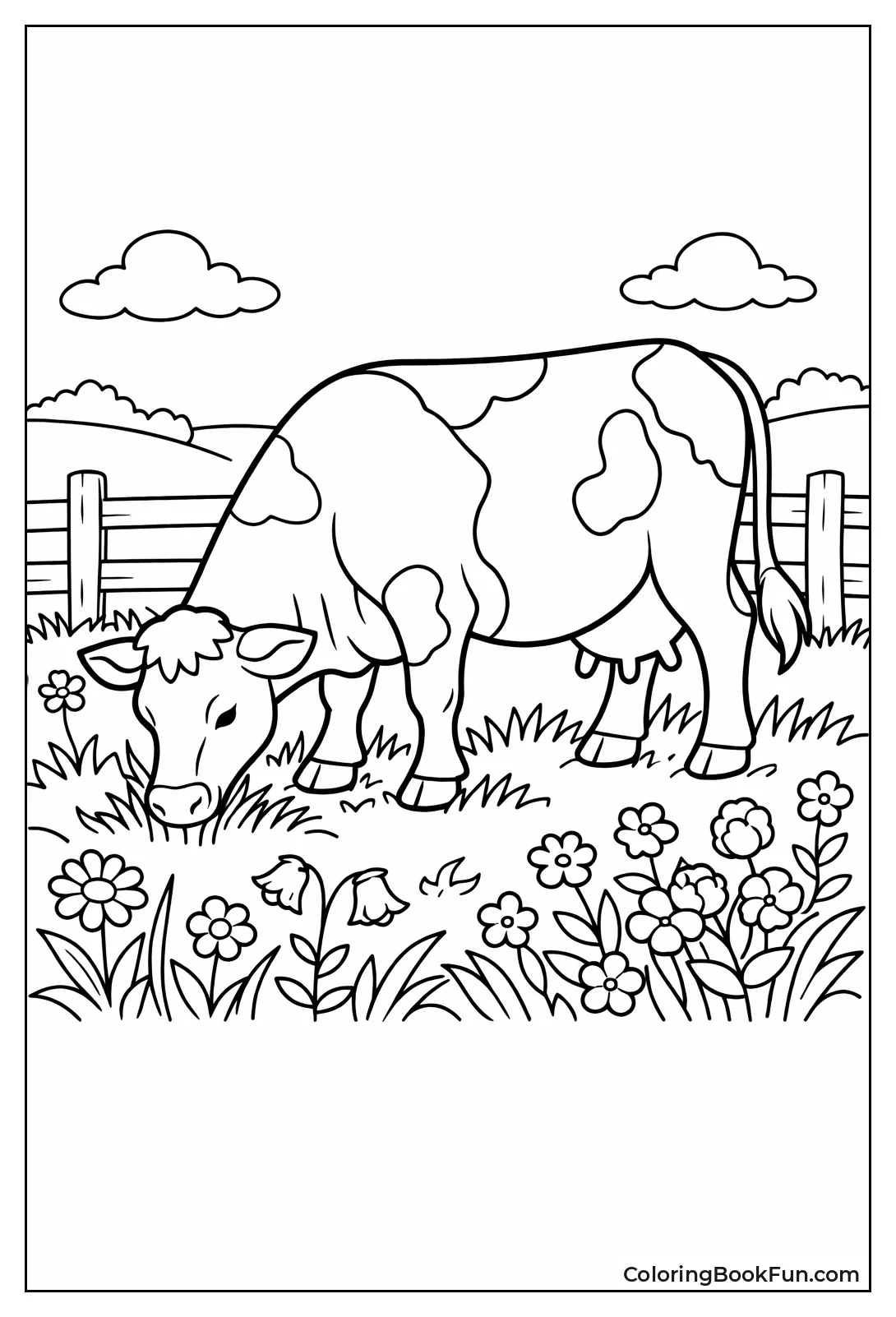 Cow Grazing in Meadow