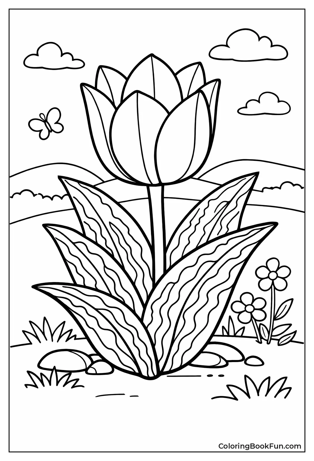 Greigii Tulip with Striped Leaves