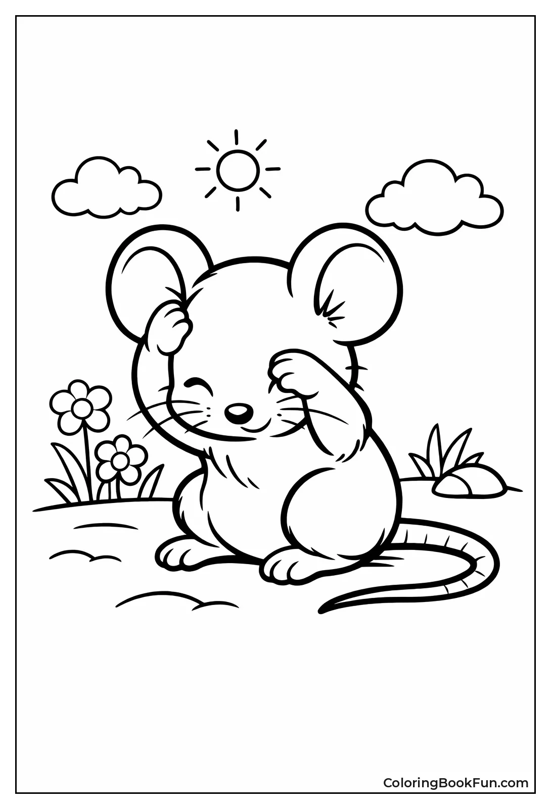 Mouse Cleaning its Face