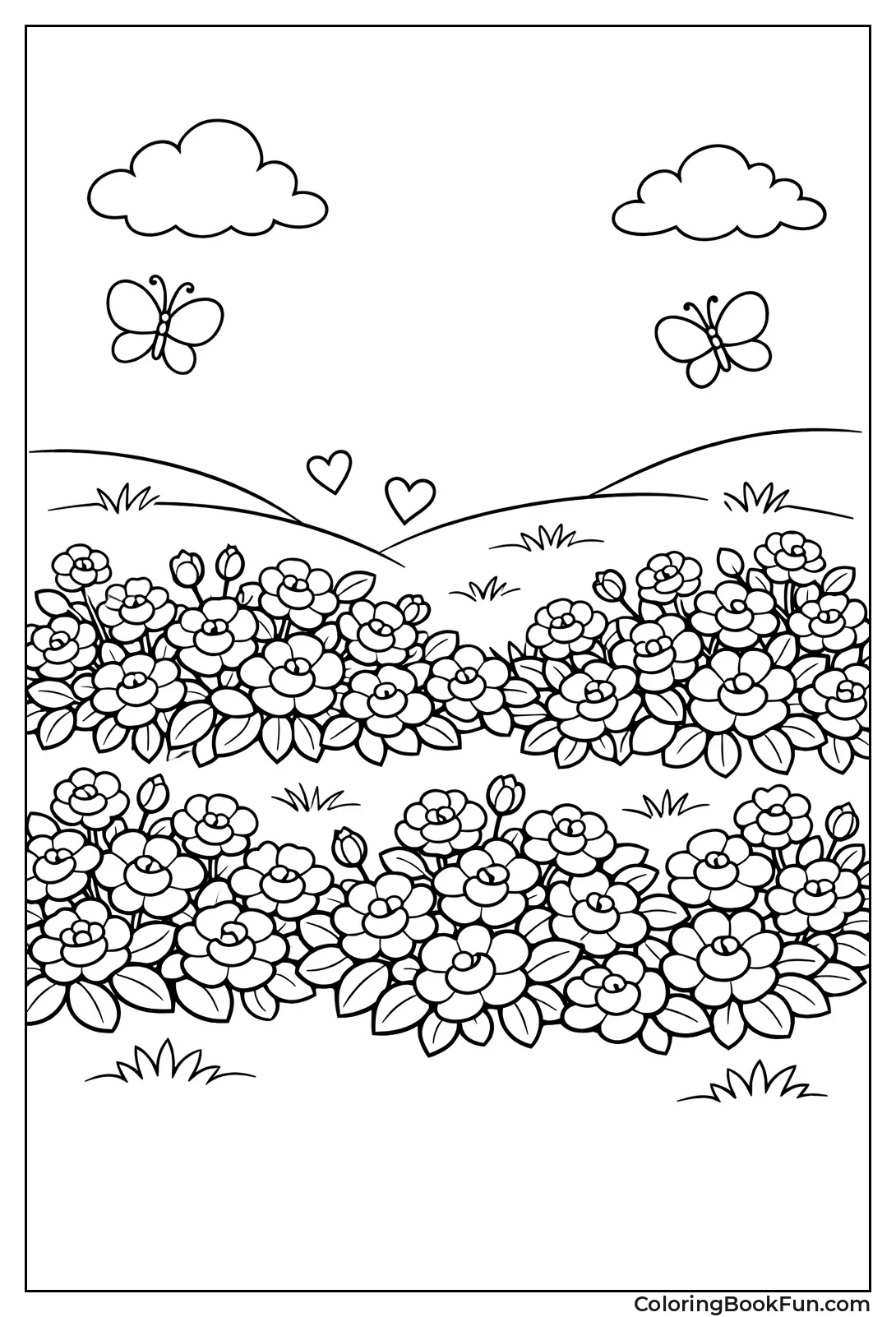 Groundcover Roses Meadow