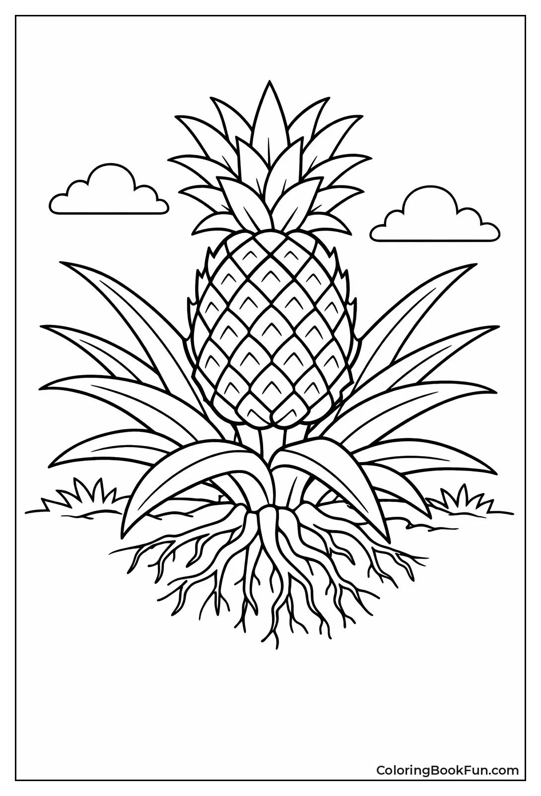Growing Pineapple Plant