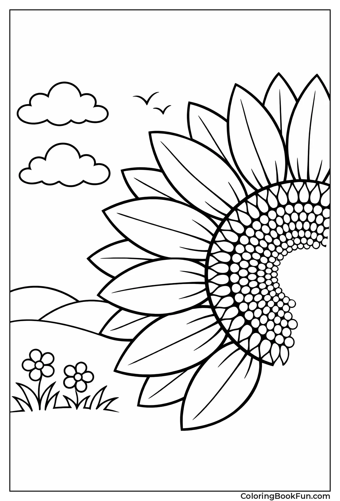 Half Section Sunflower View