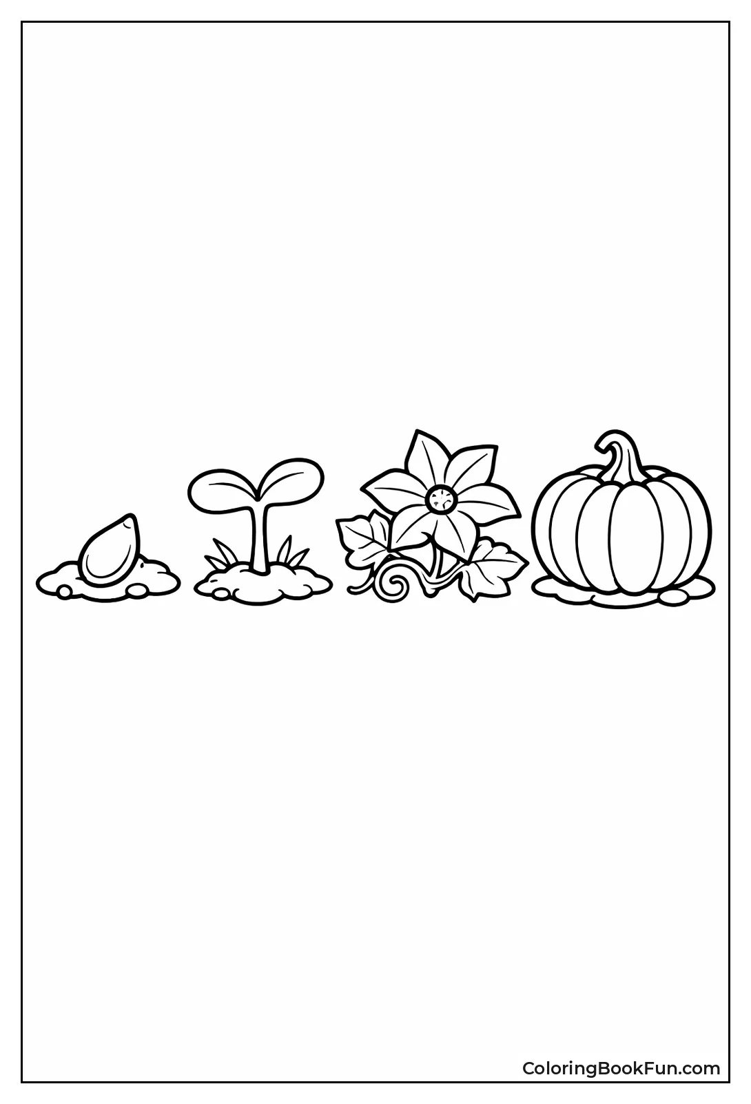 Pumpkin Grows from Seed