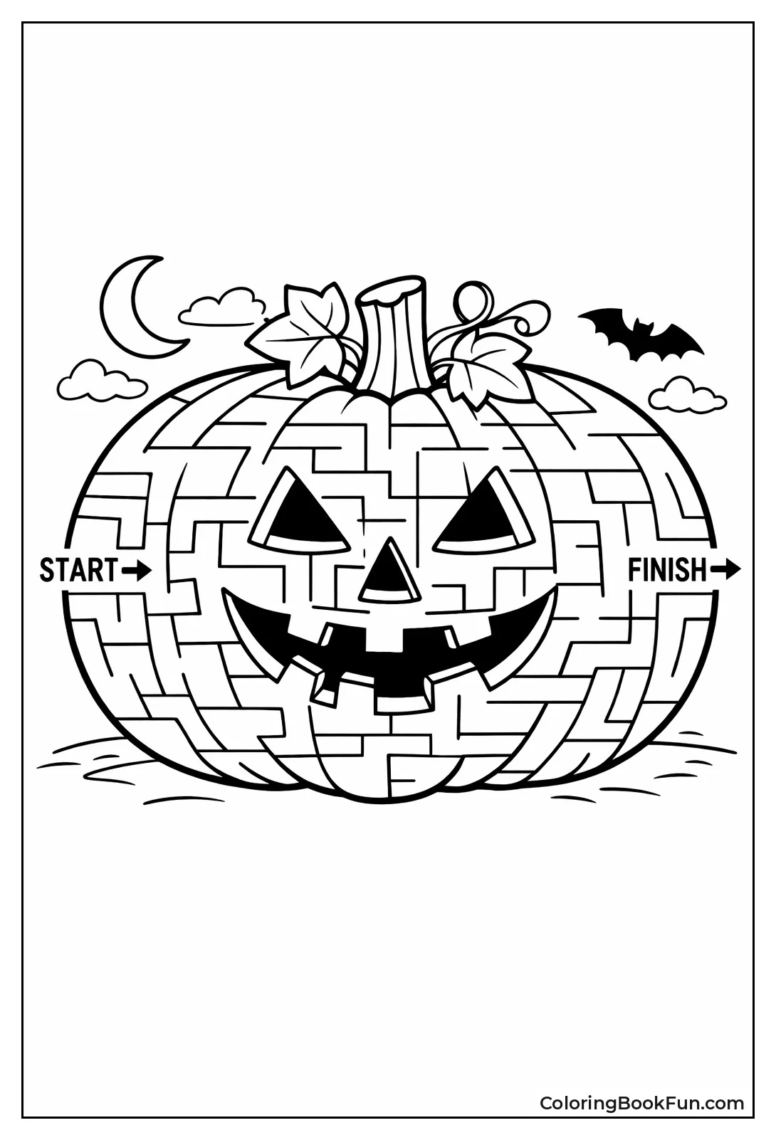 Pumpkin Patch Maze View