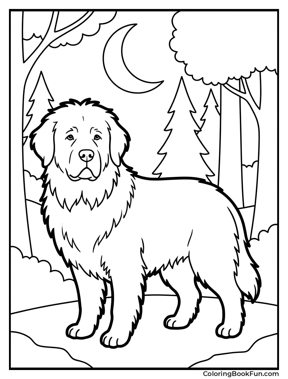 Padfoot Guards Dark Forest