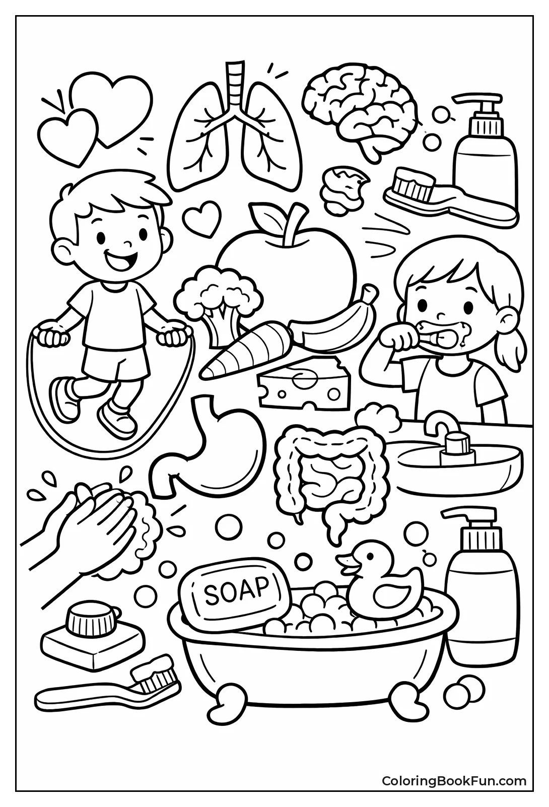 Body Organs Healthy Foods