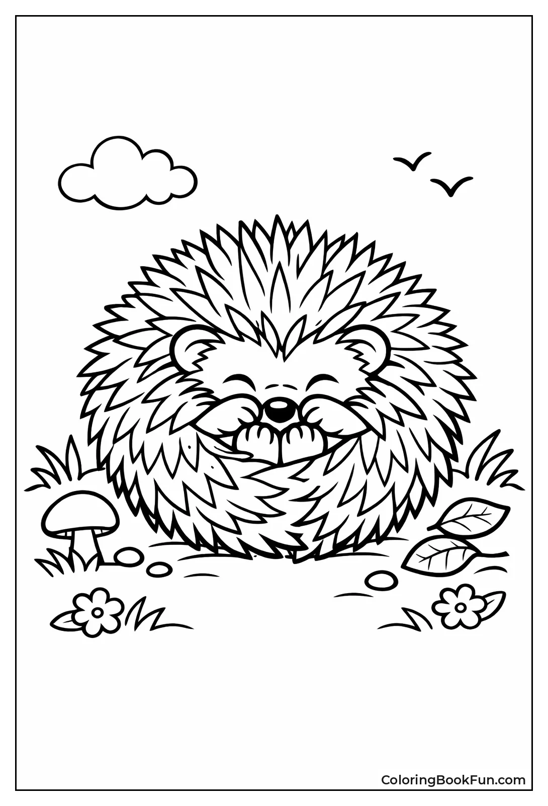 Hedgehog Rolled in Spiny Ball