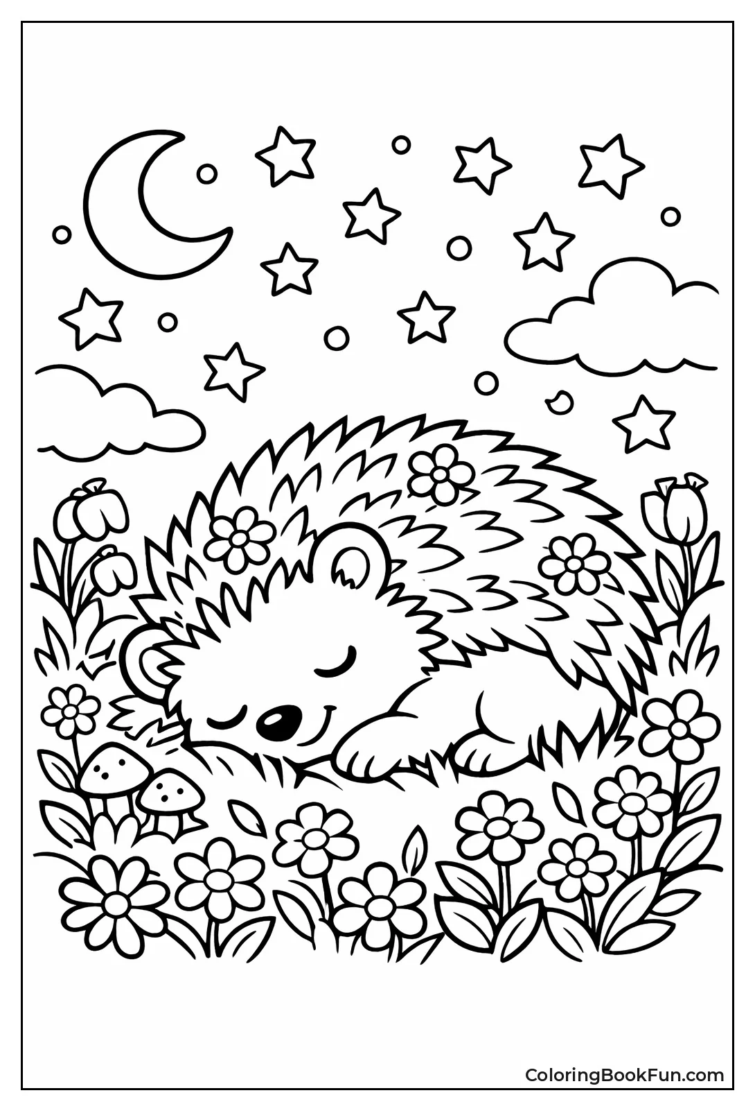 Hedgehog Sleeping under Stars