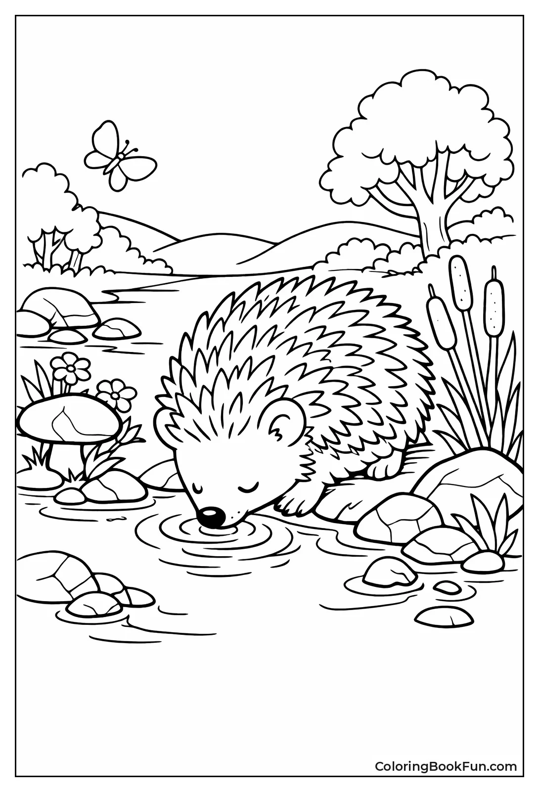 Hedgehog Drinking from Stream
