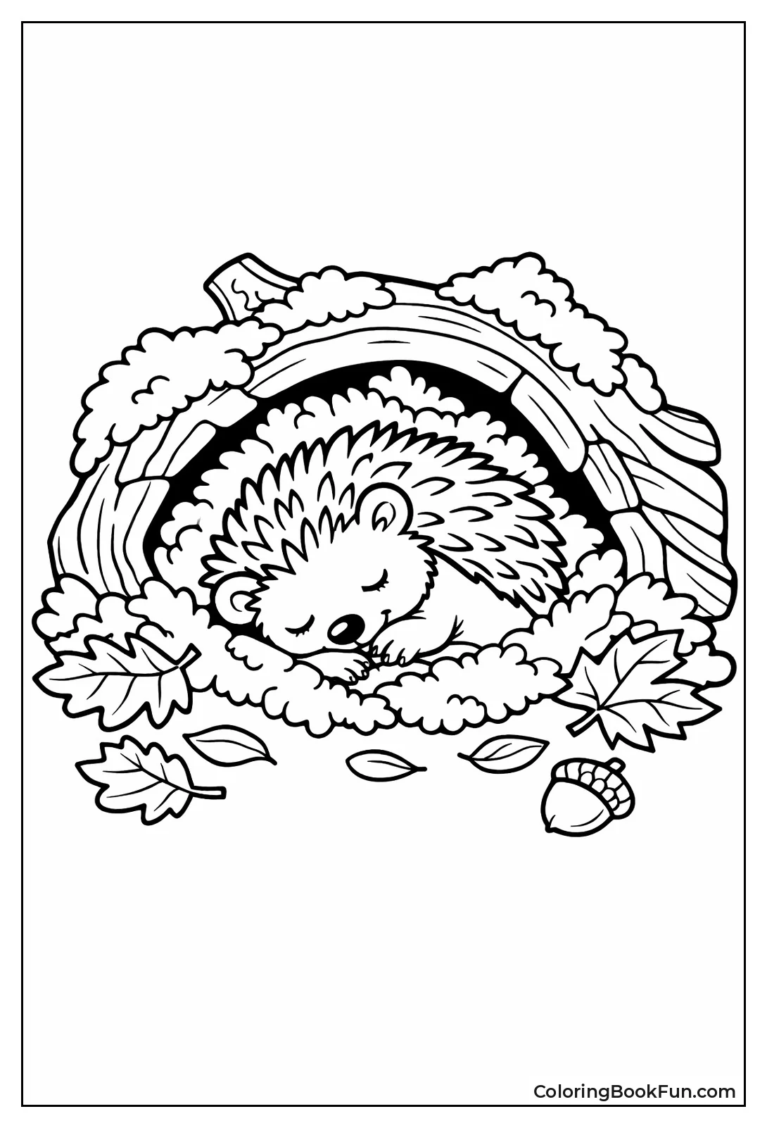 Hedgehog Hibernating in Log