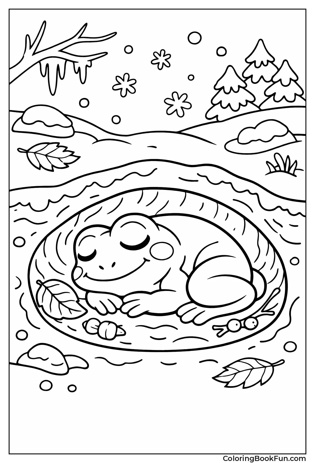 Frog Hides in Mud Hibernation