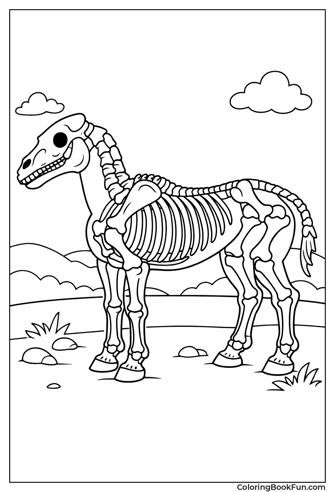 Detailed Horse Skeleton