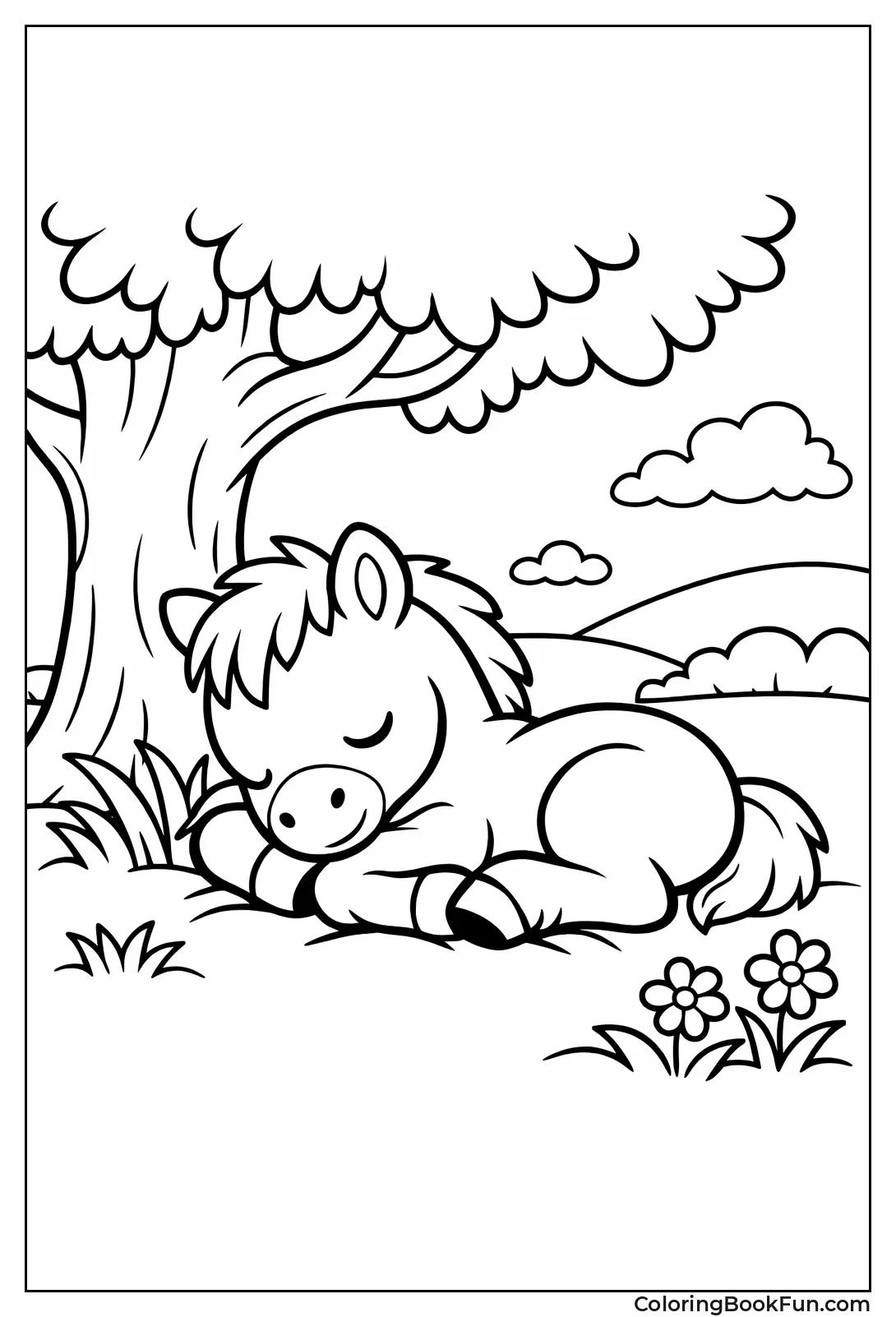 Curled Sleeping Foal