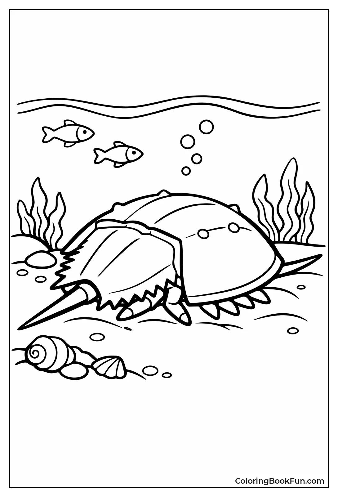 Prehistoric Horseshoe Crab