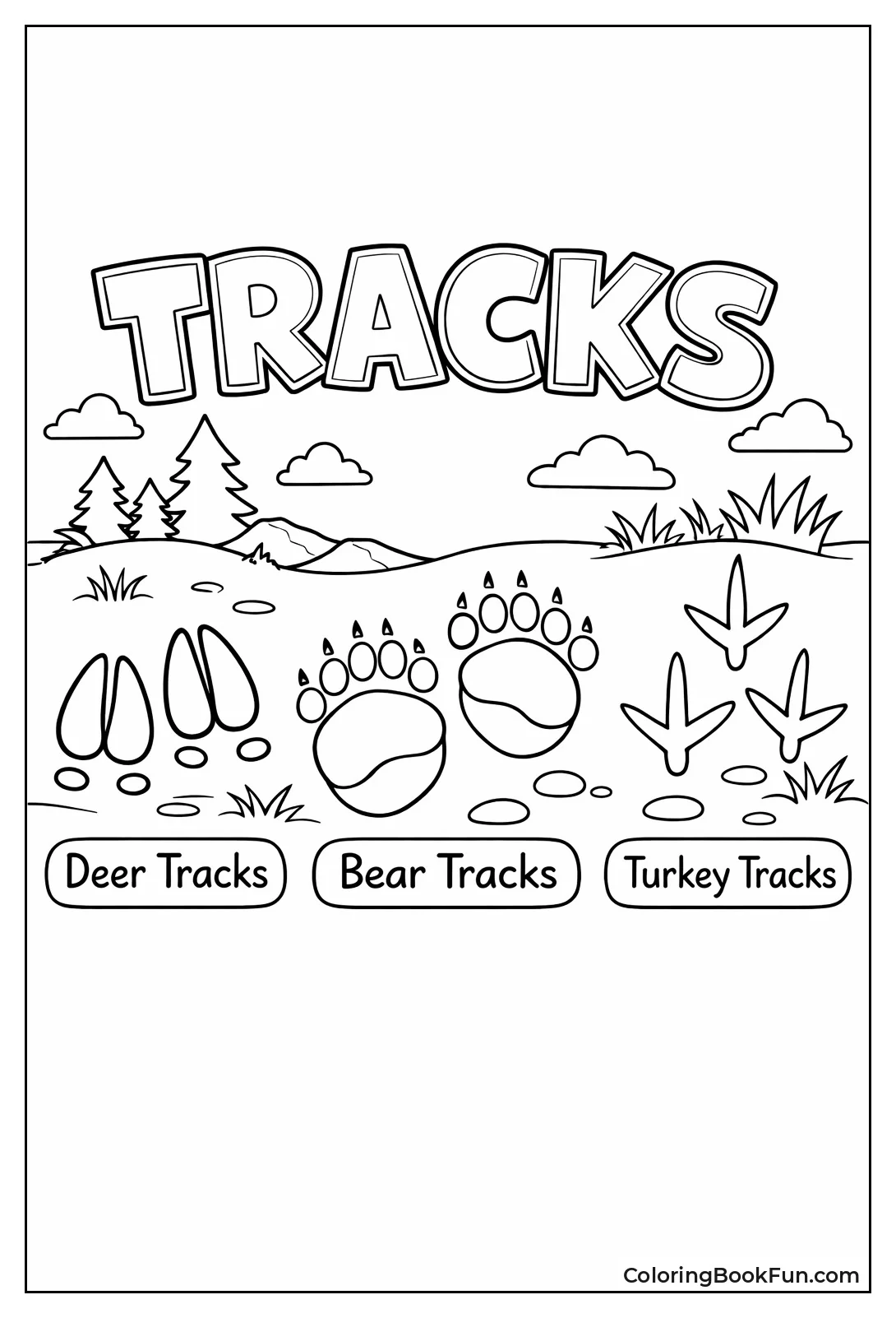 Guide to Animal Tracks