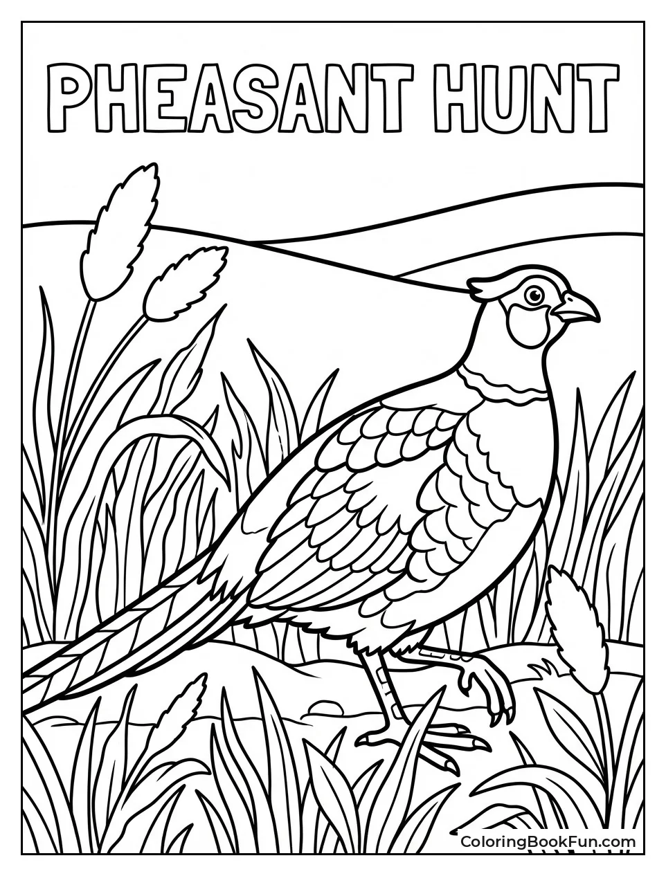 Pheasant in the Brush