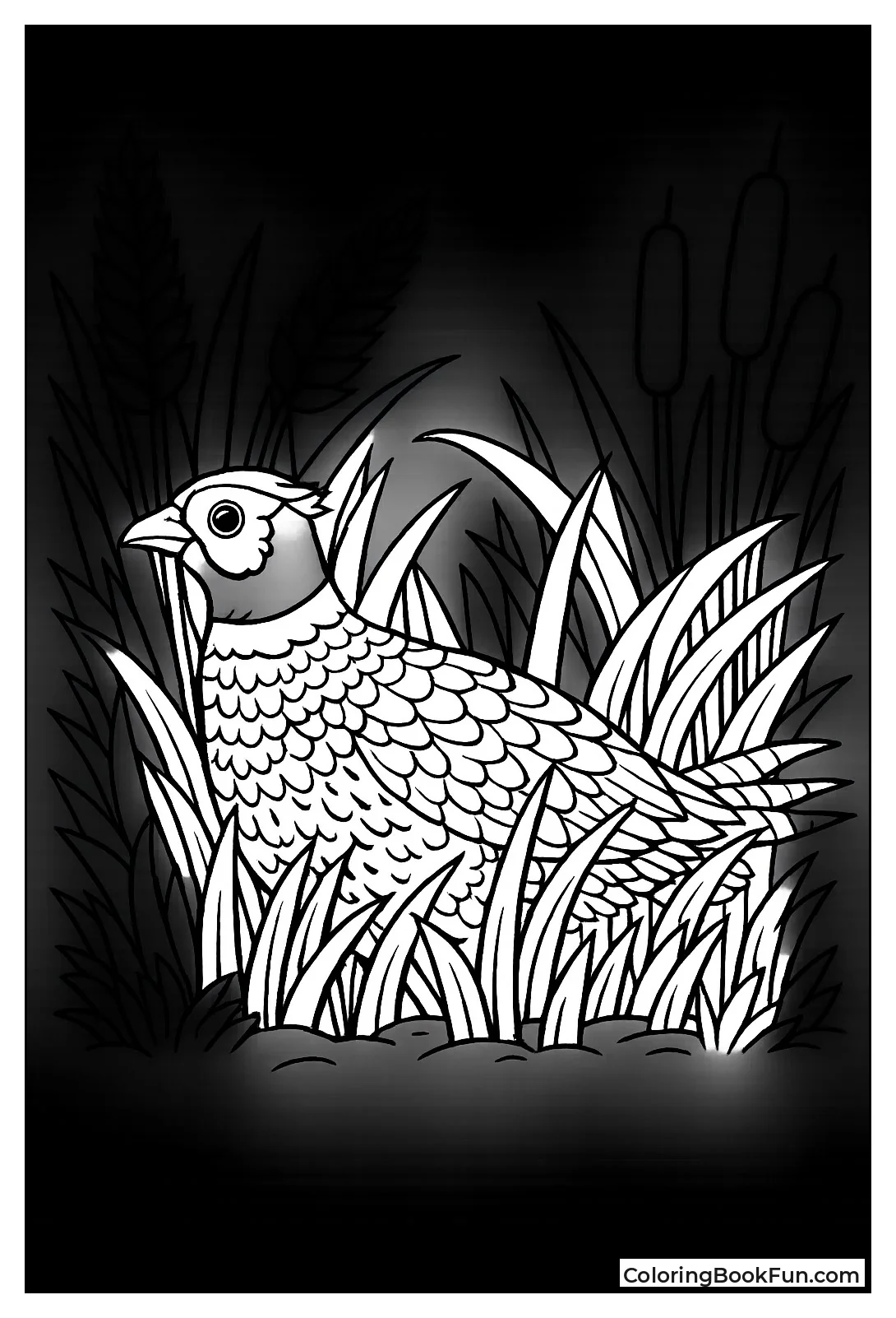 Pheasant Hides in Brush