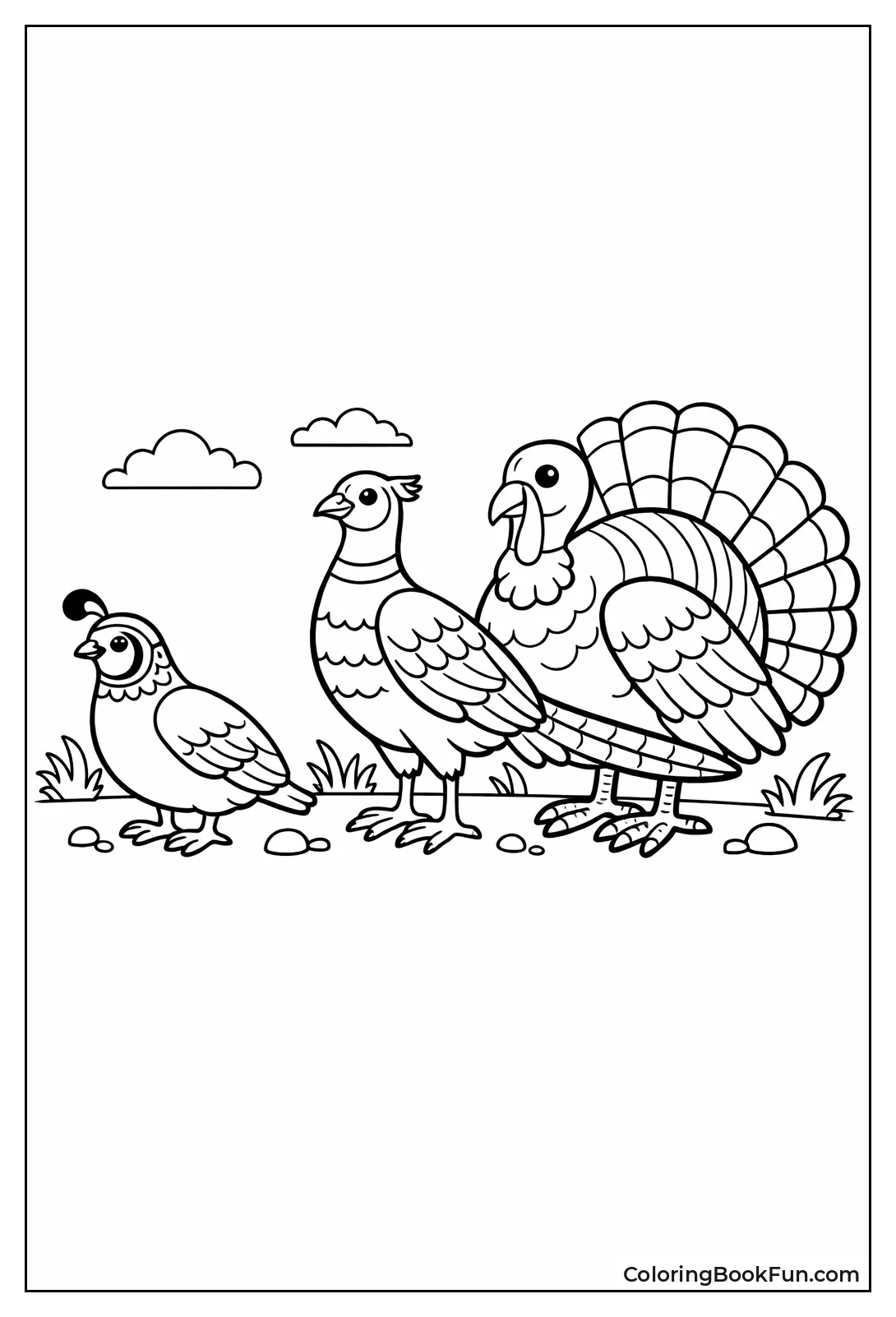 Birds Size Comparison