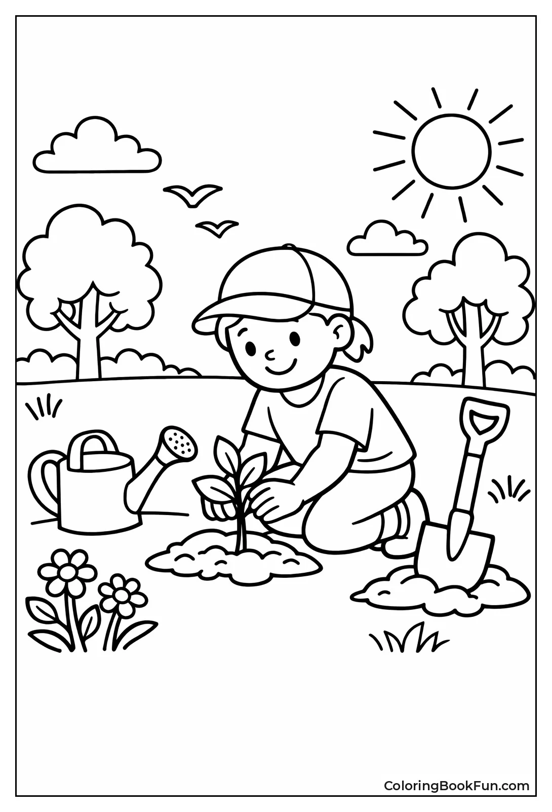 Person Planting Young Tree
