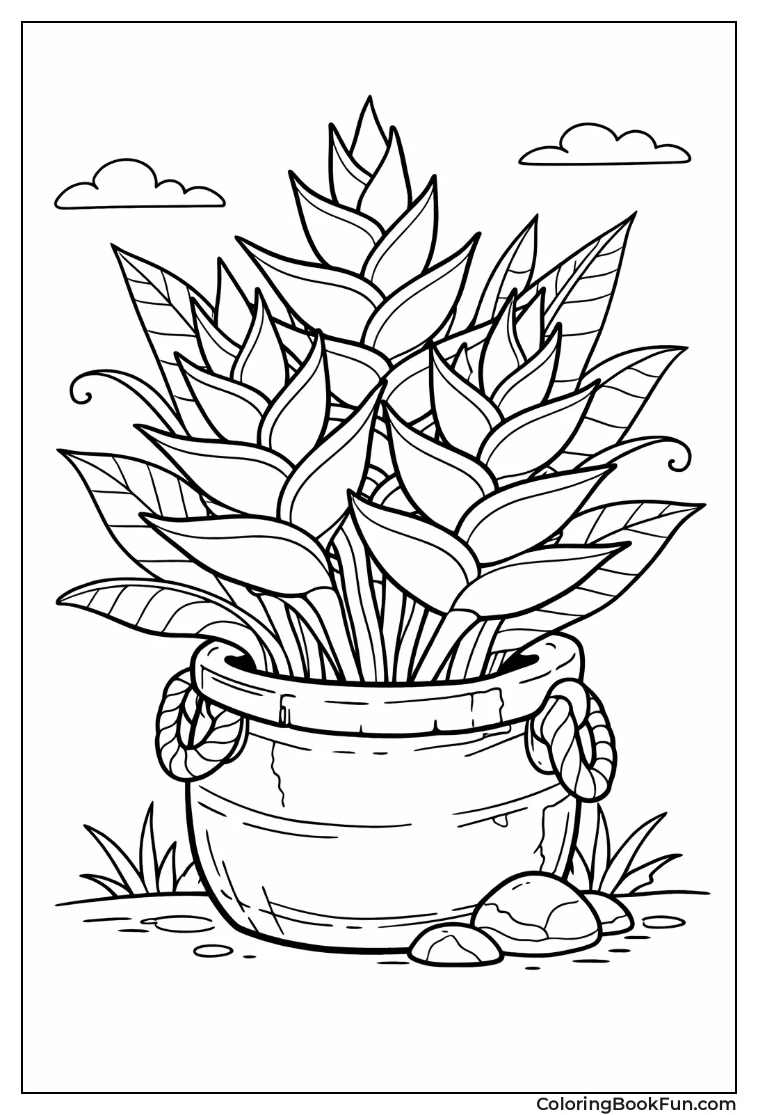 Heliconia Flowers in Pot