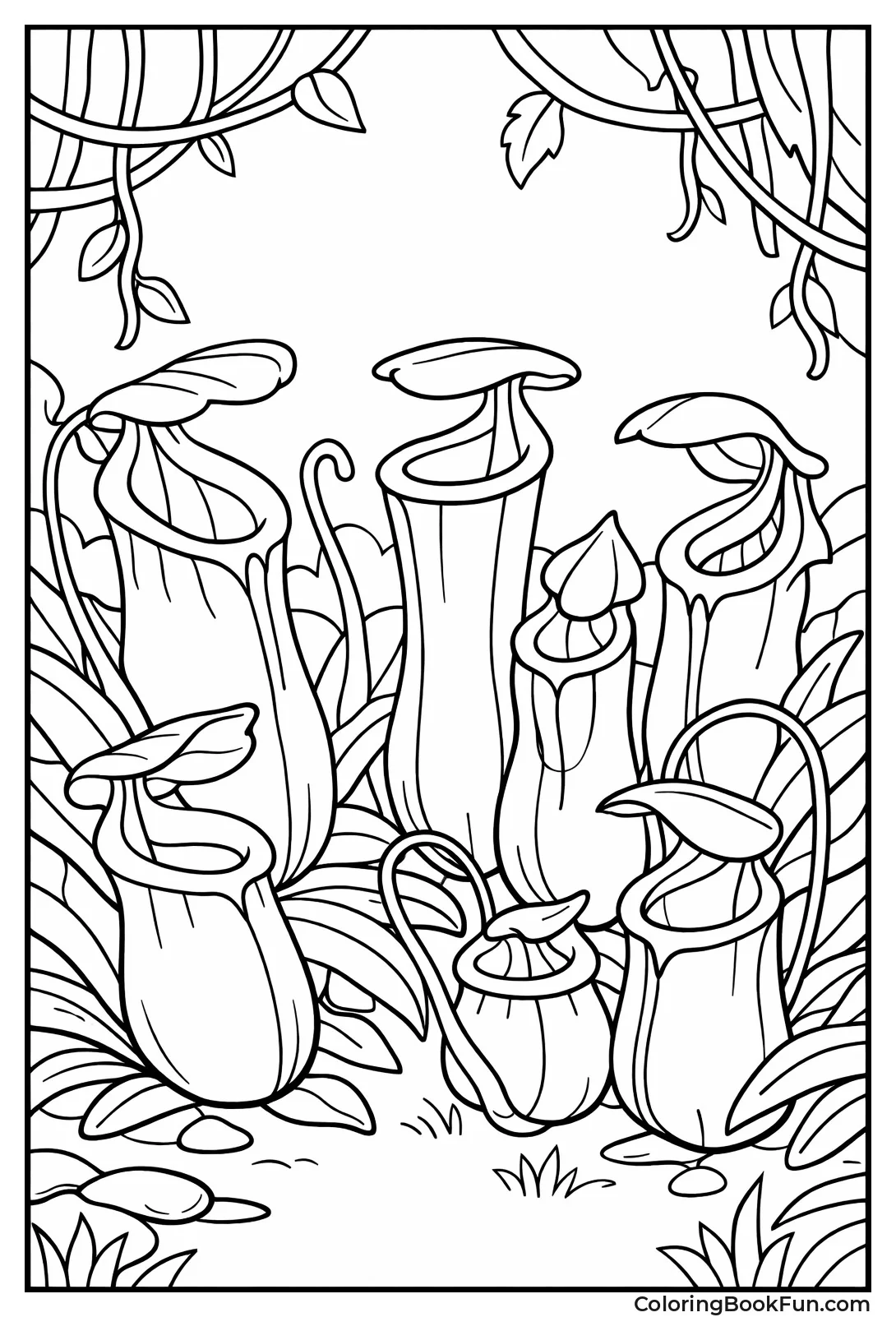 Pitcher Plant Traps Bugs