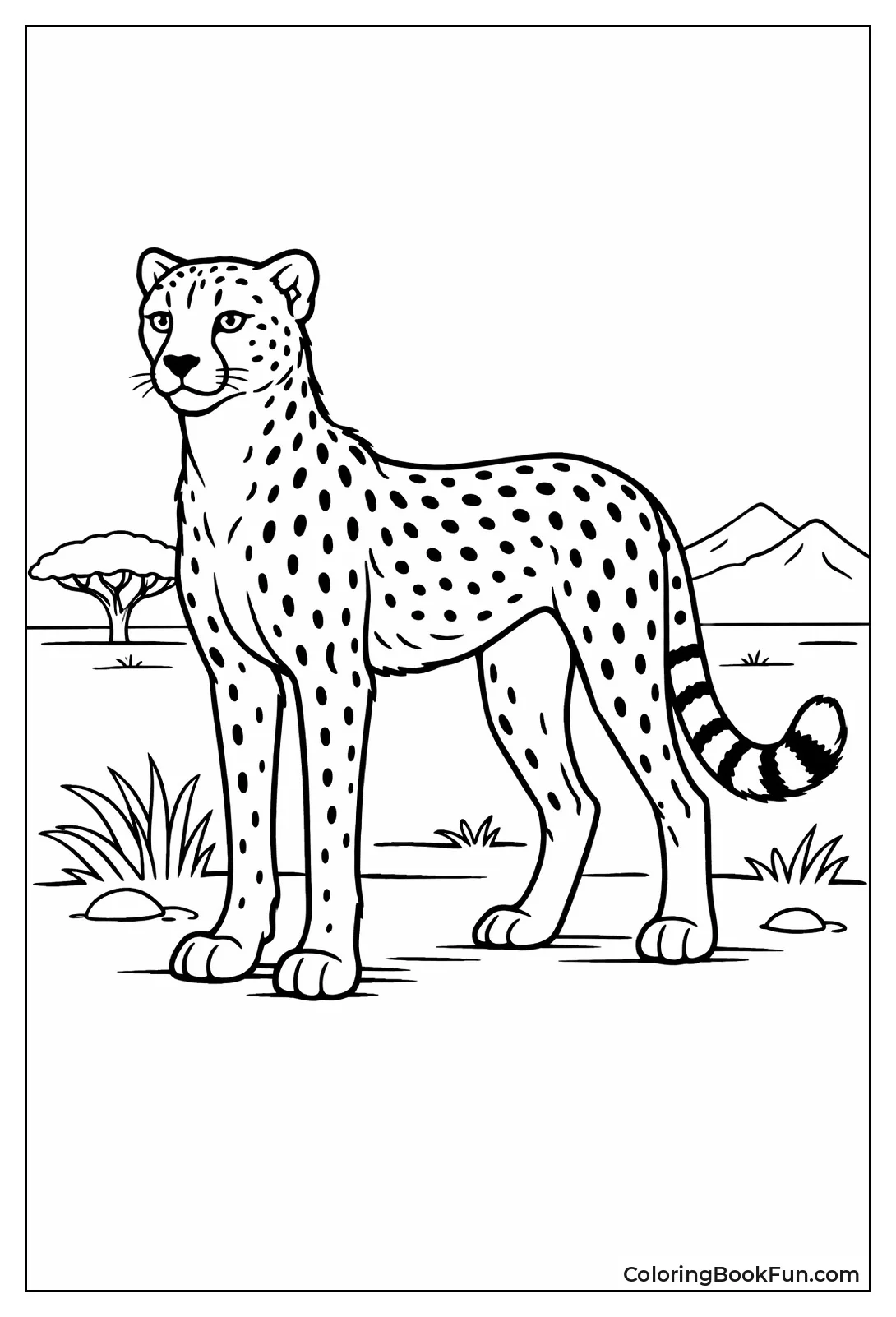 Young Cheetah Standing Tall