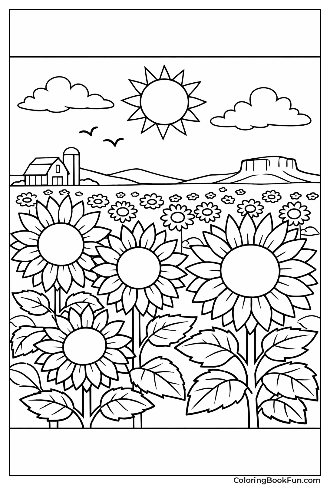 Kansas Sunflower Plains Field