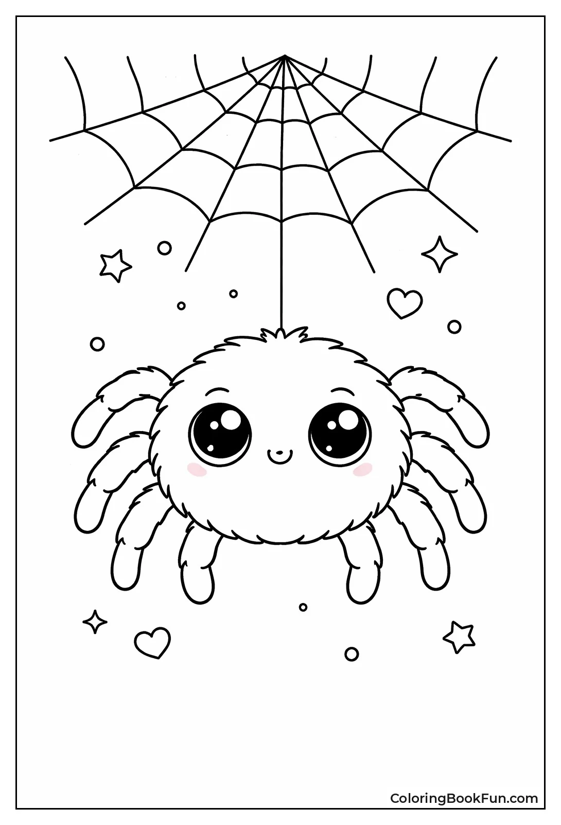 Fluffy Spider Smiles Big