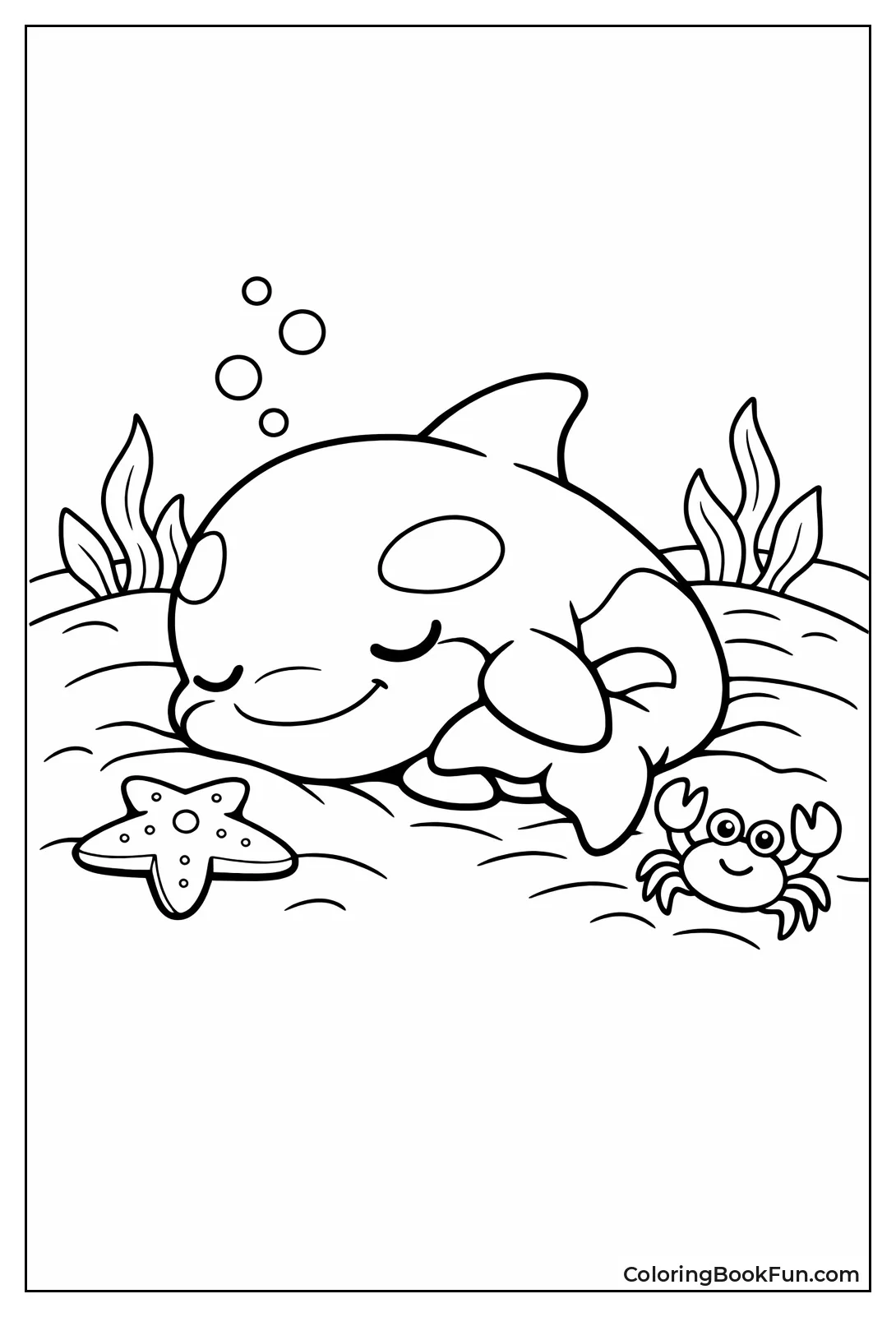 Baby Orca Napping Seaside