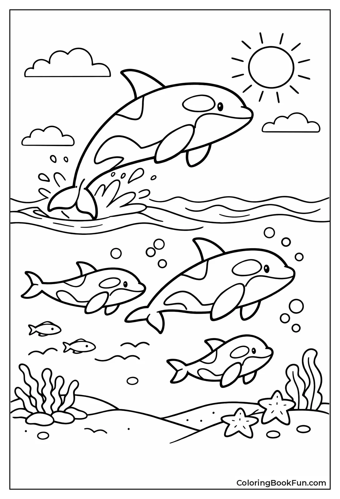 Pod Swimming Together