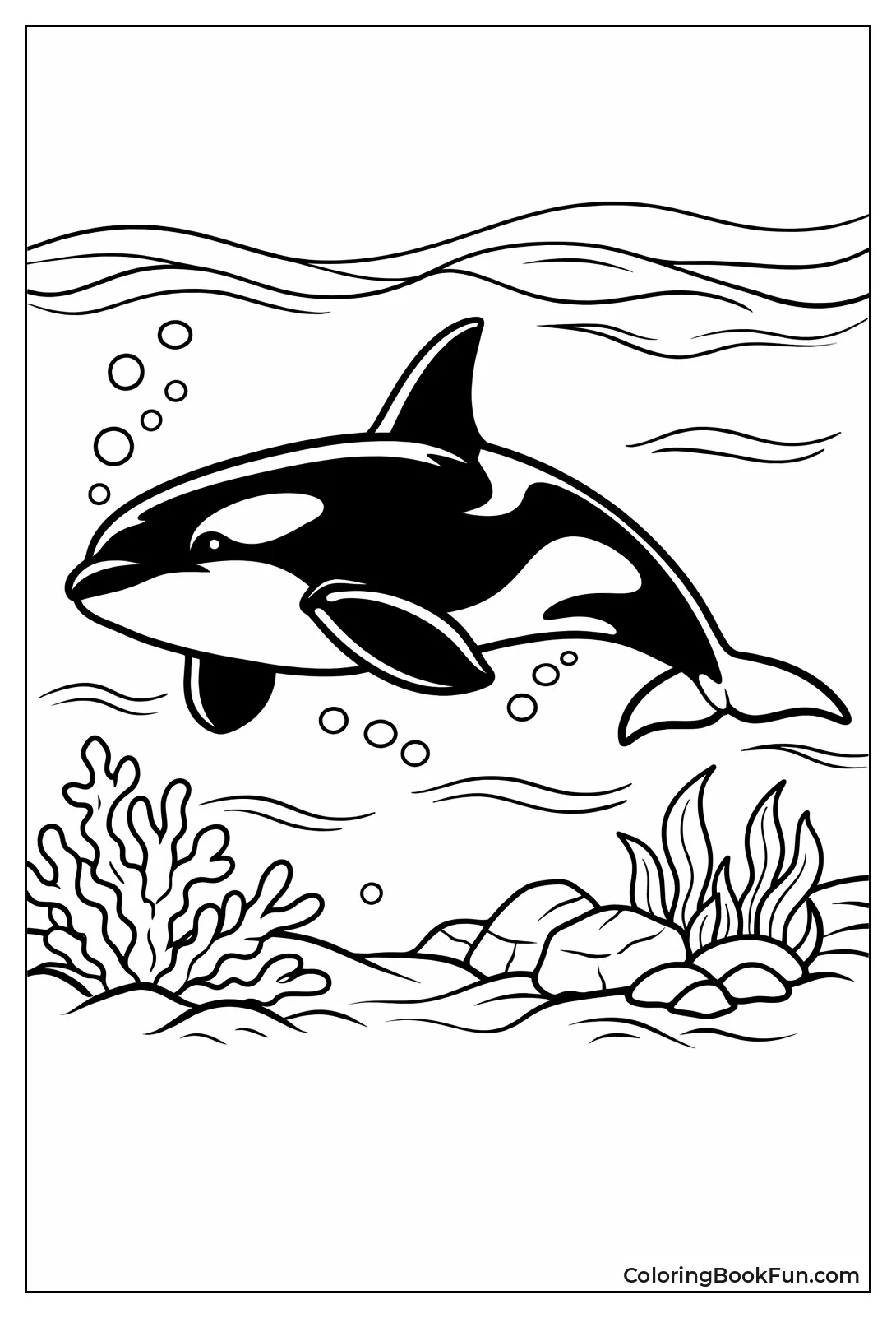 Shamu Swimming Through the Ocean