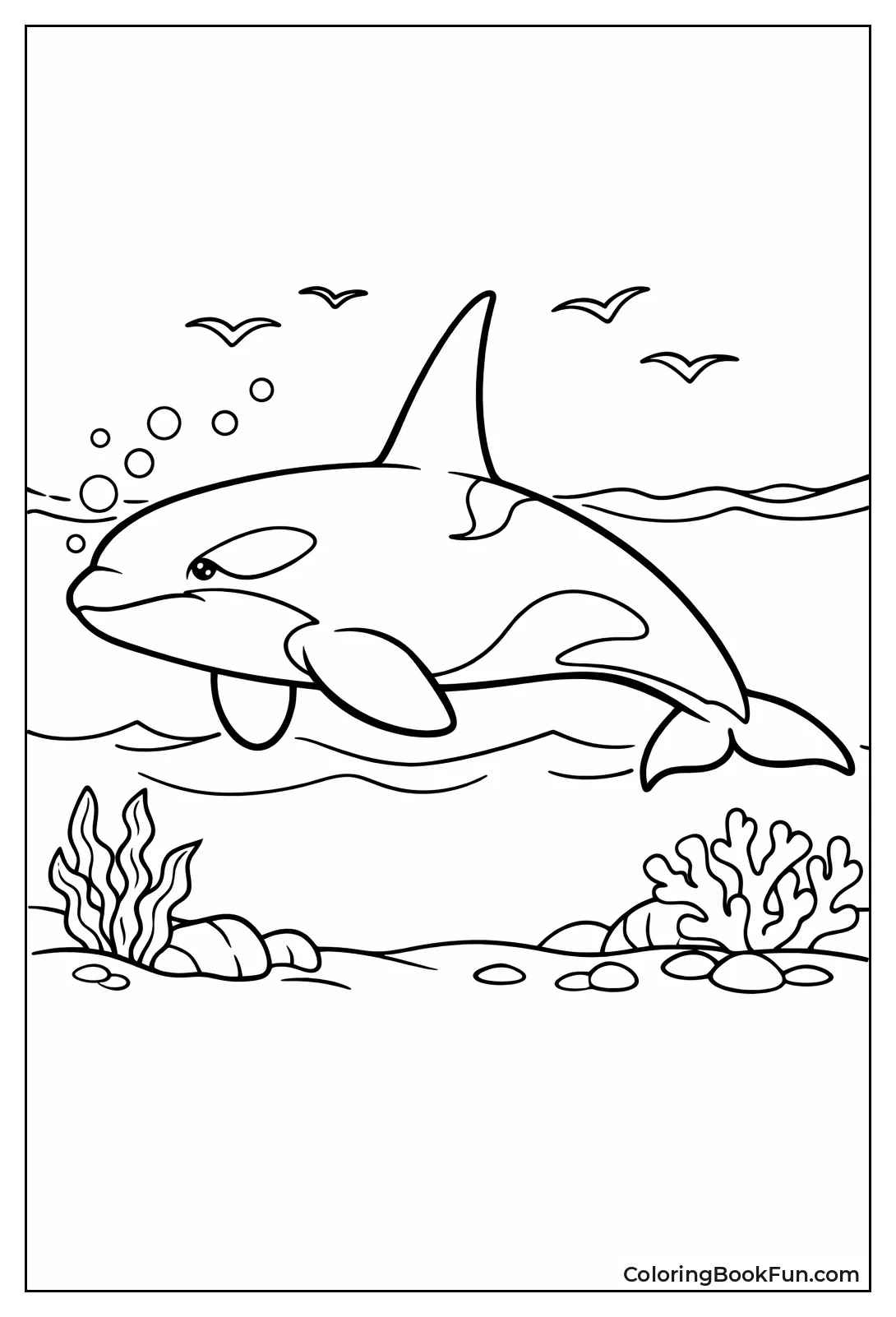 Realistic Swimming Male Orca