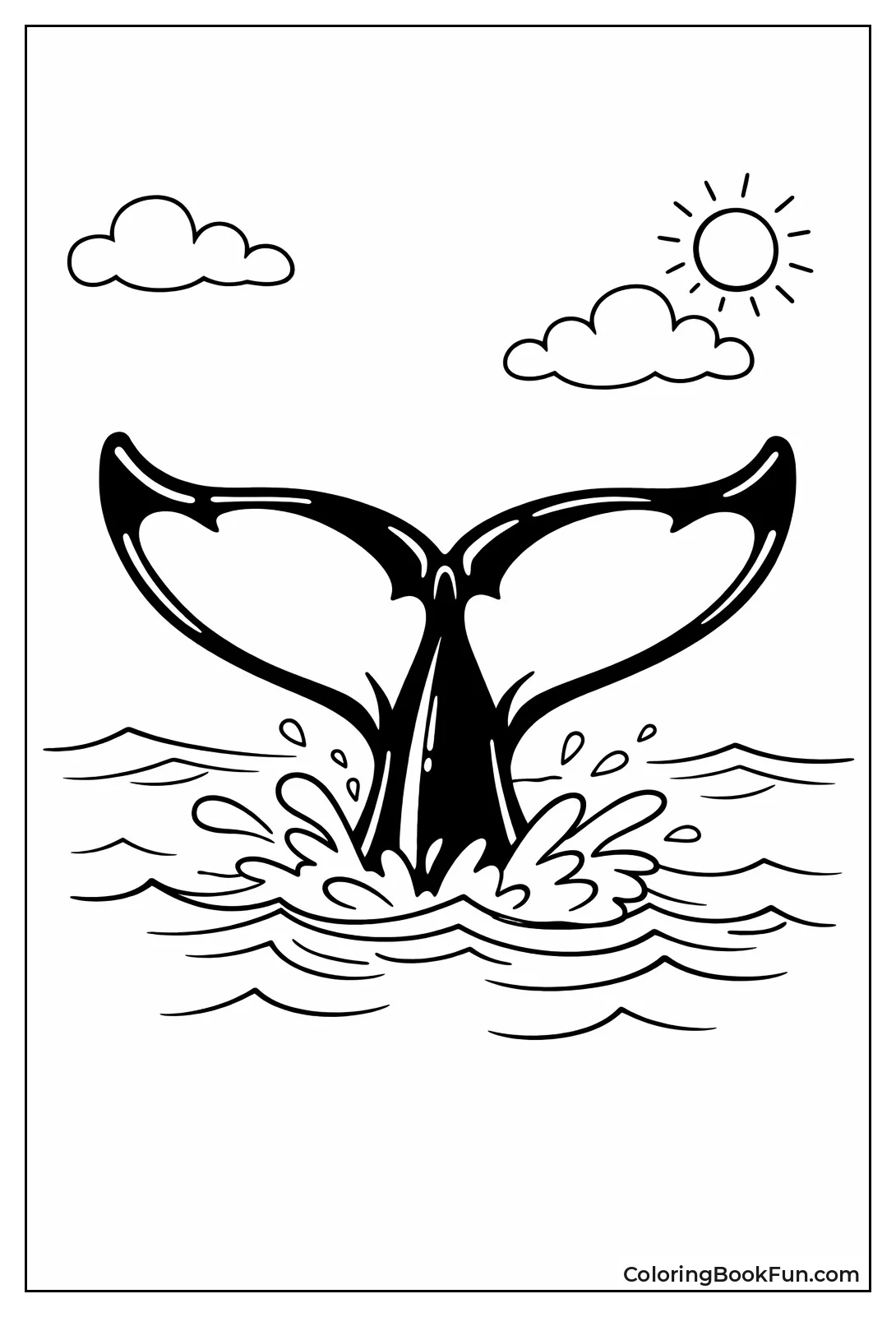 Orca Tail Fluke Patterns
