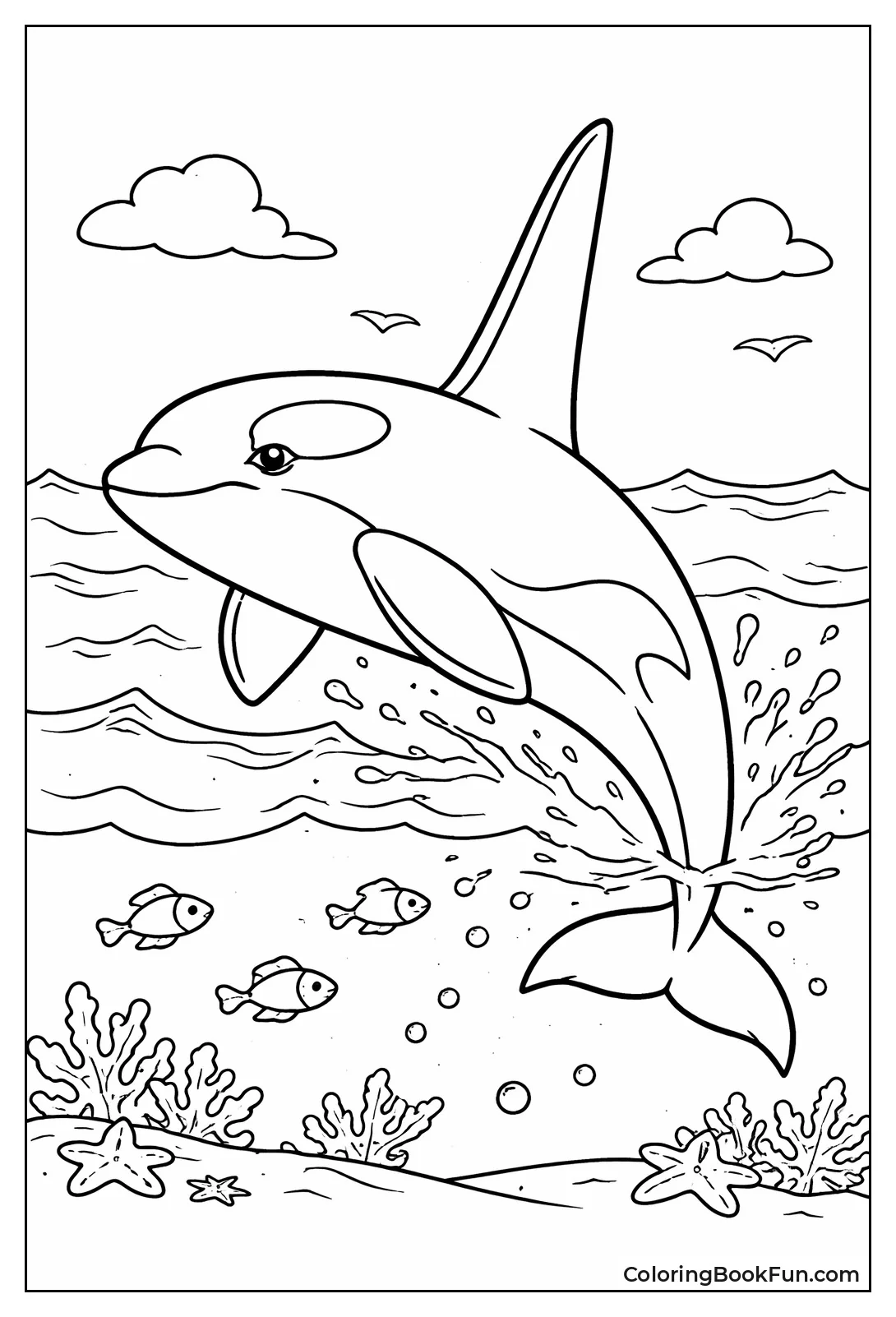 Tall Dorsal Male Orca