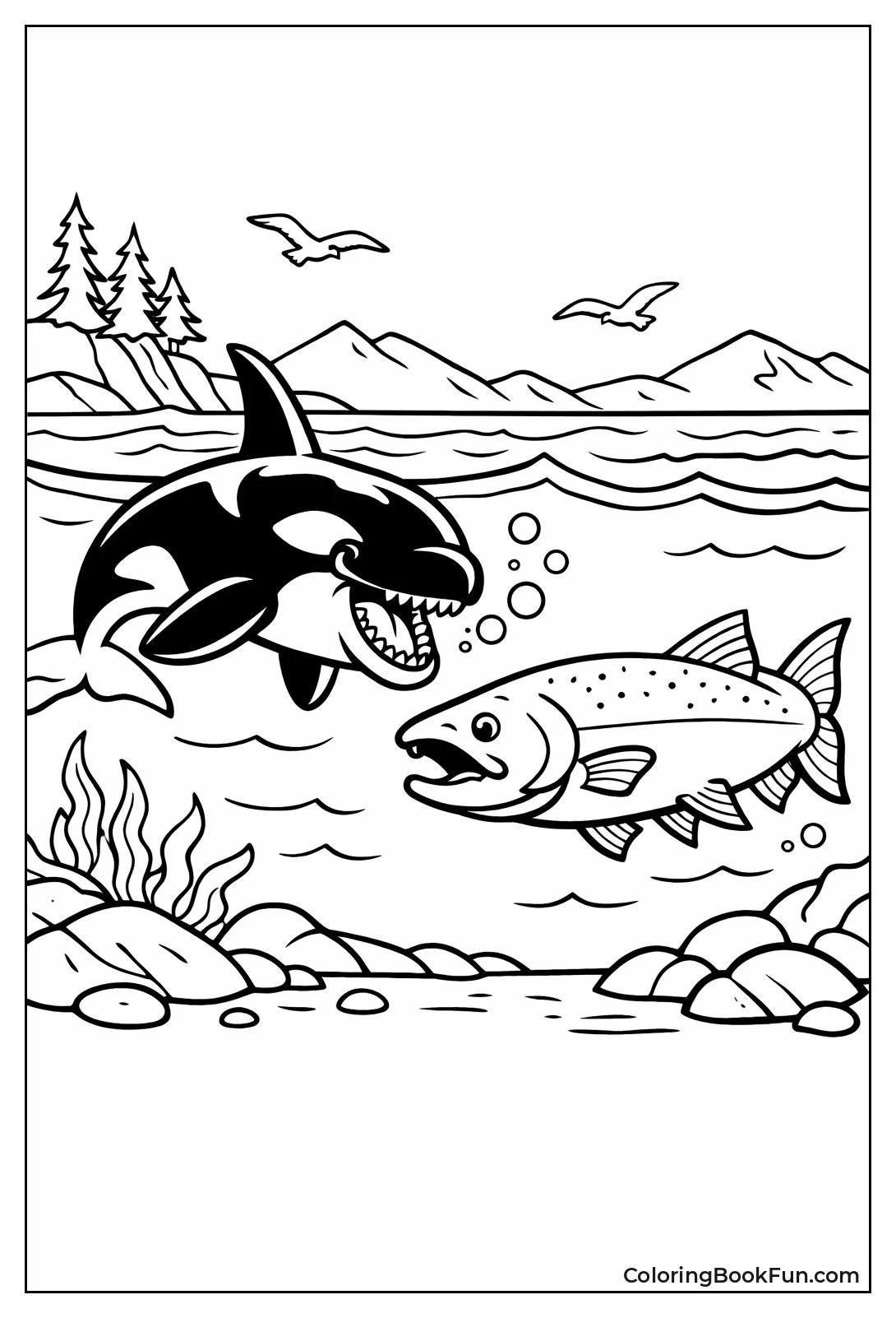 Orca Chasing Big Salmon
