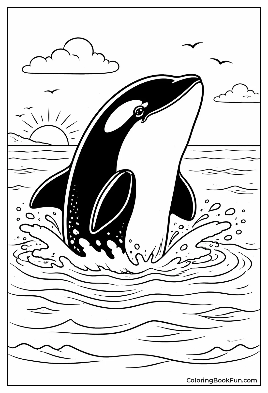 Orca Spyhopping Above Water