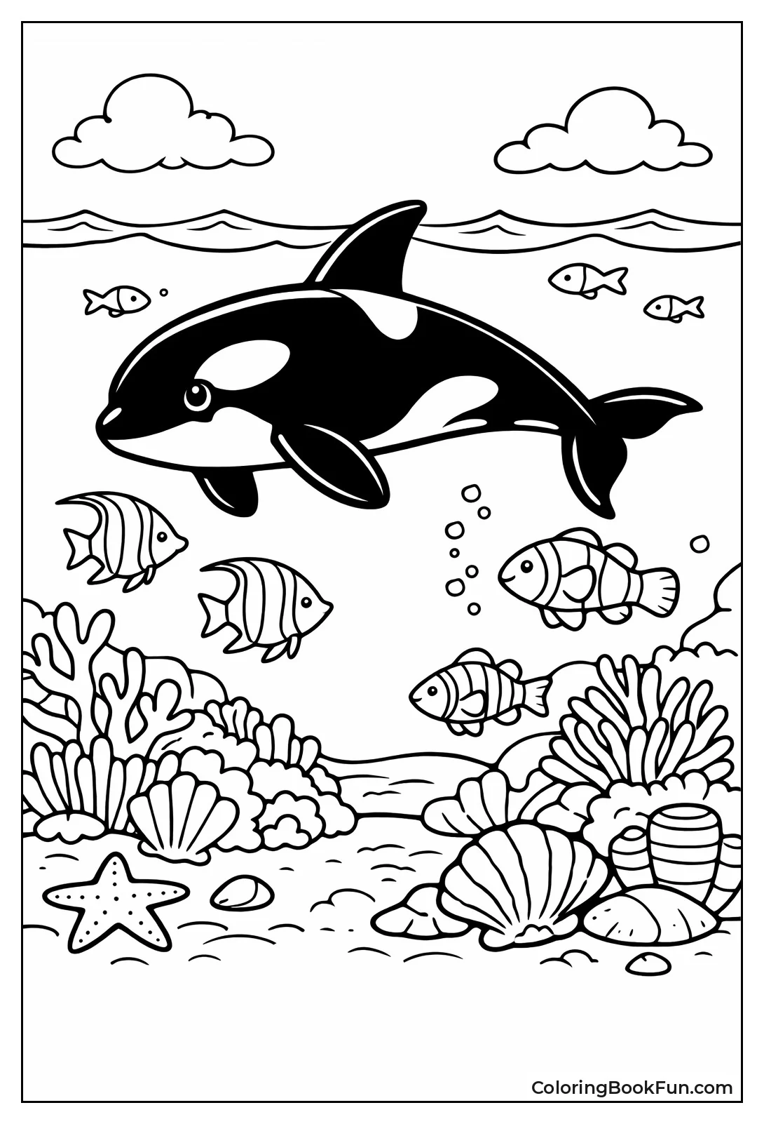 Orca over Coral Reef