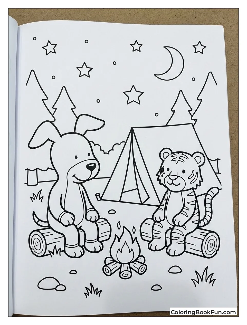 Kipper Camps under Stars