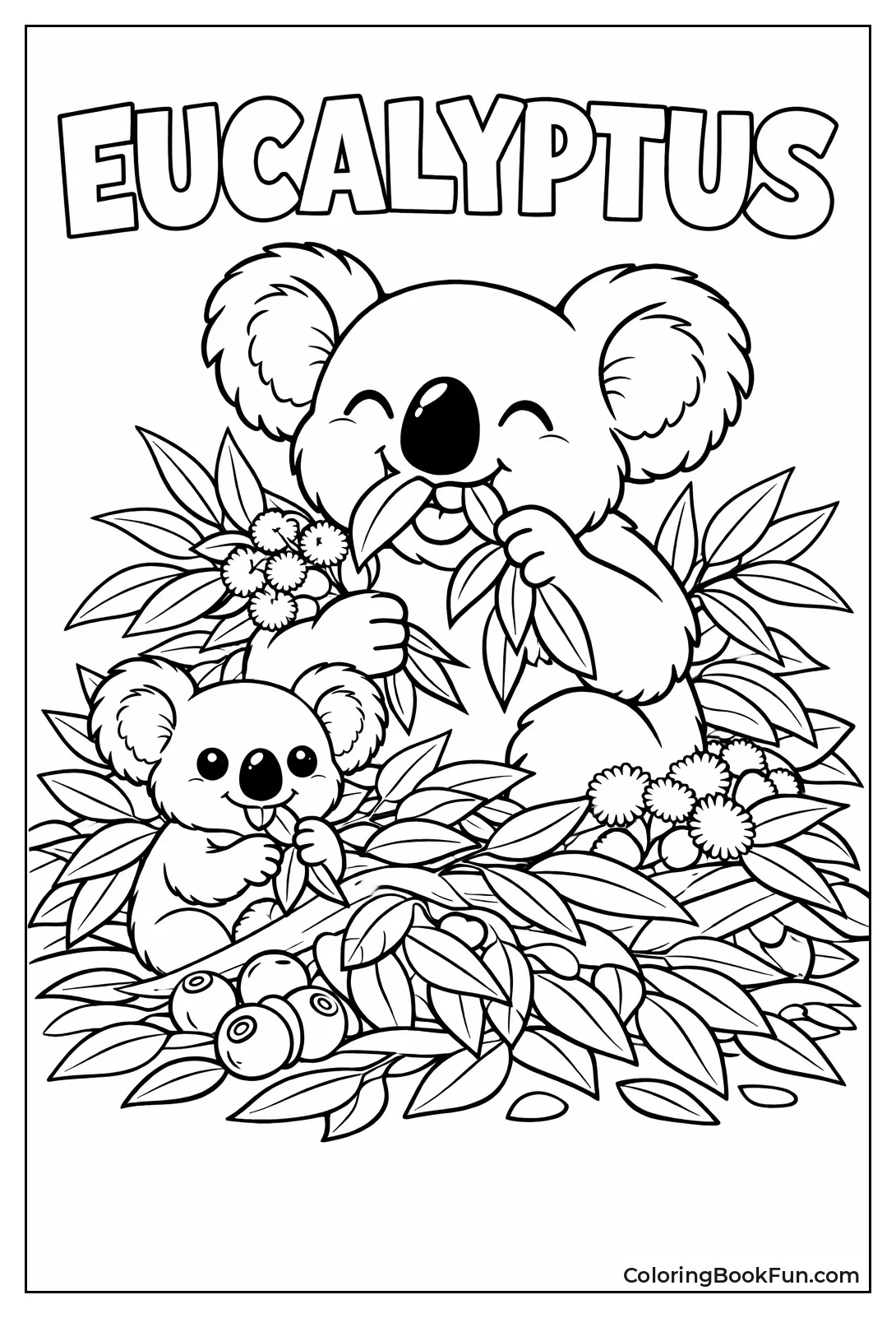 Koala Eating Eucalyptus Leaves