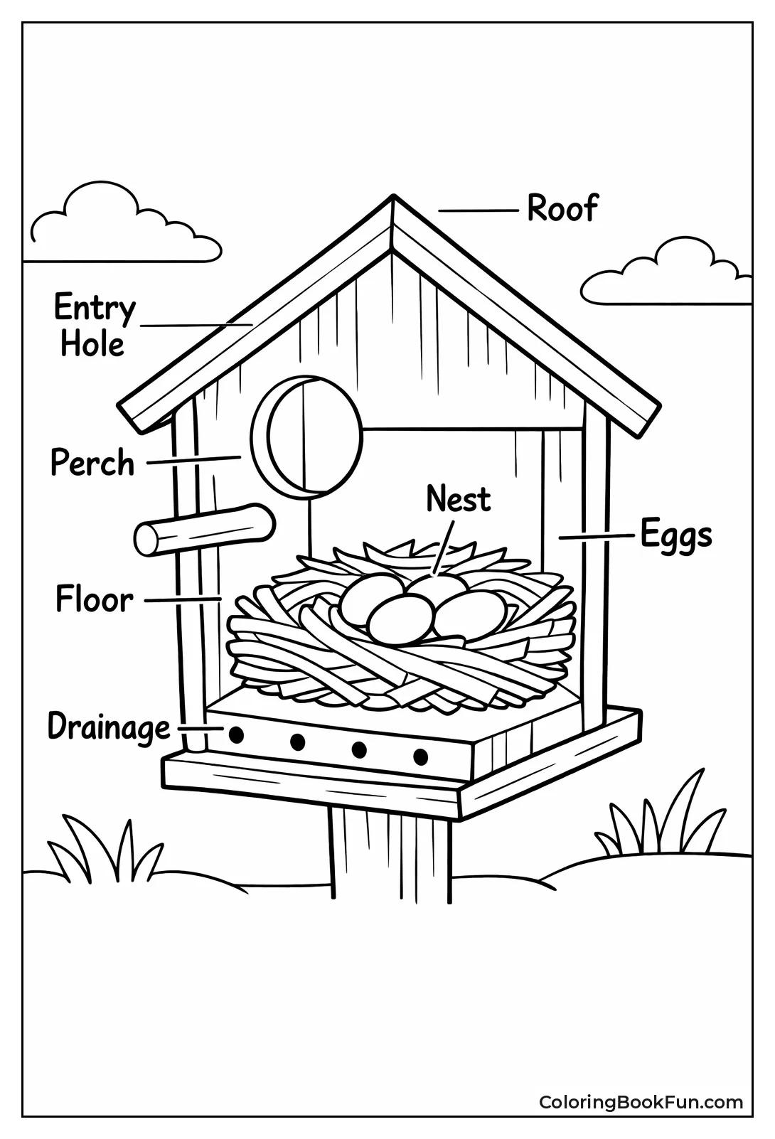 Labeled Birdhouse Cutaway View